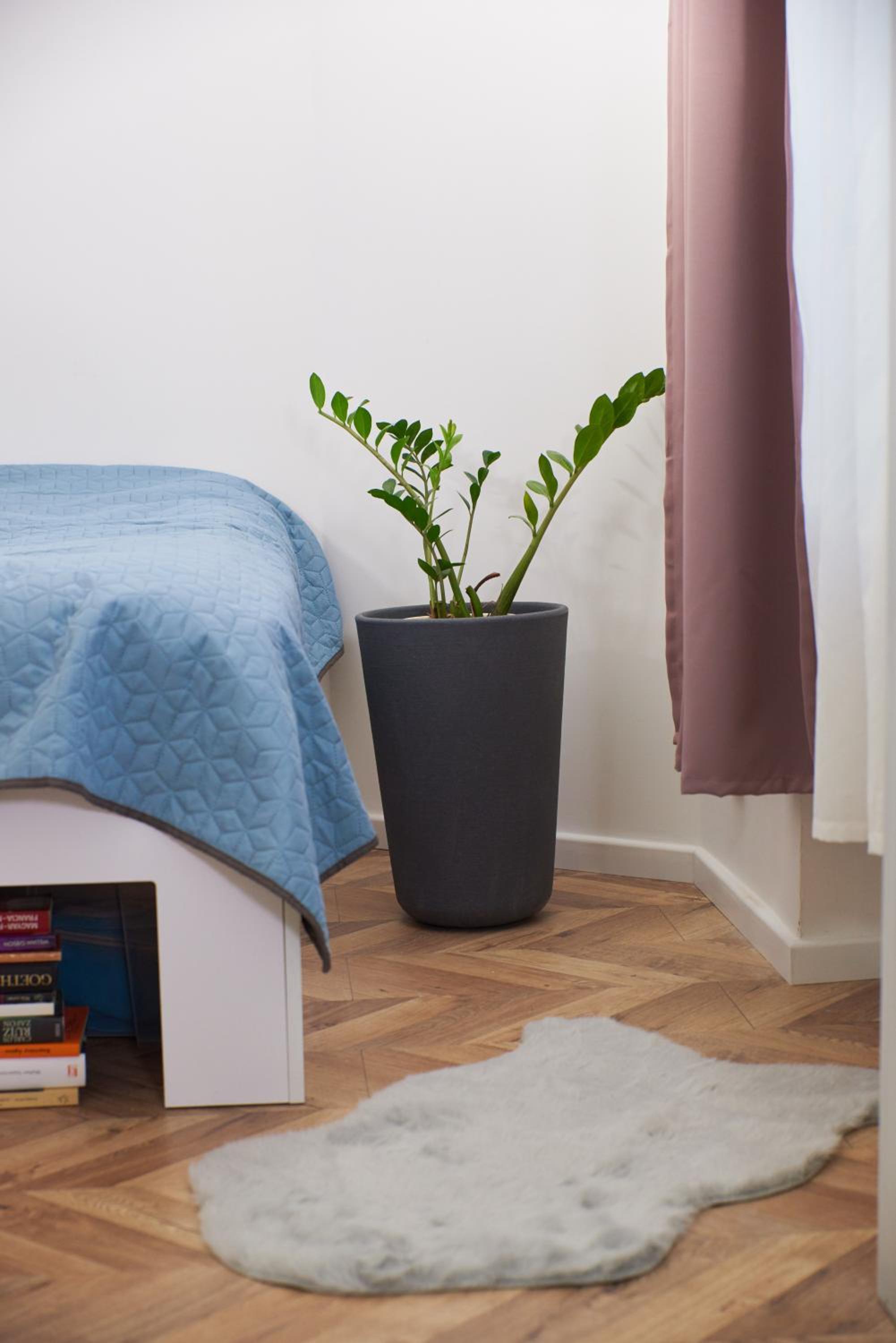 One-Bedroom Apartment - Photo 21