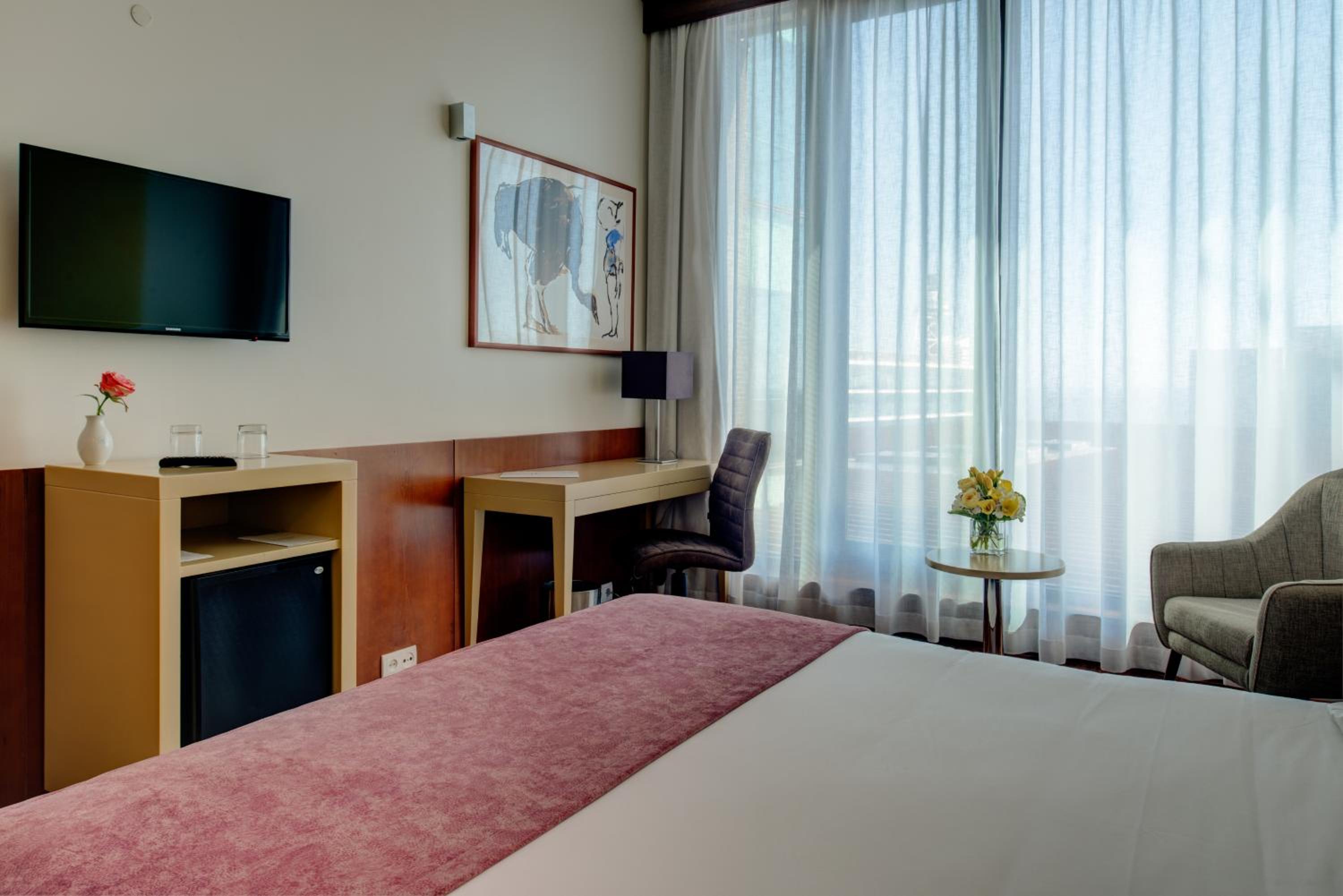 Double or Twin Room - Photo 1