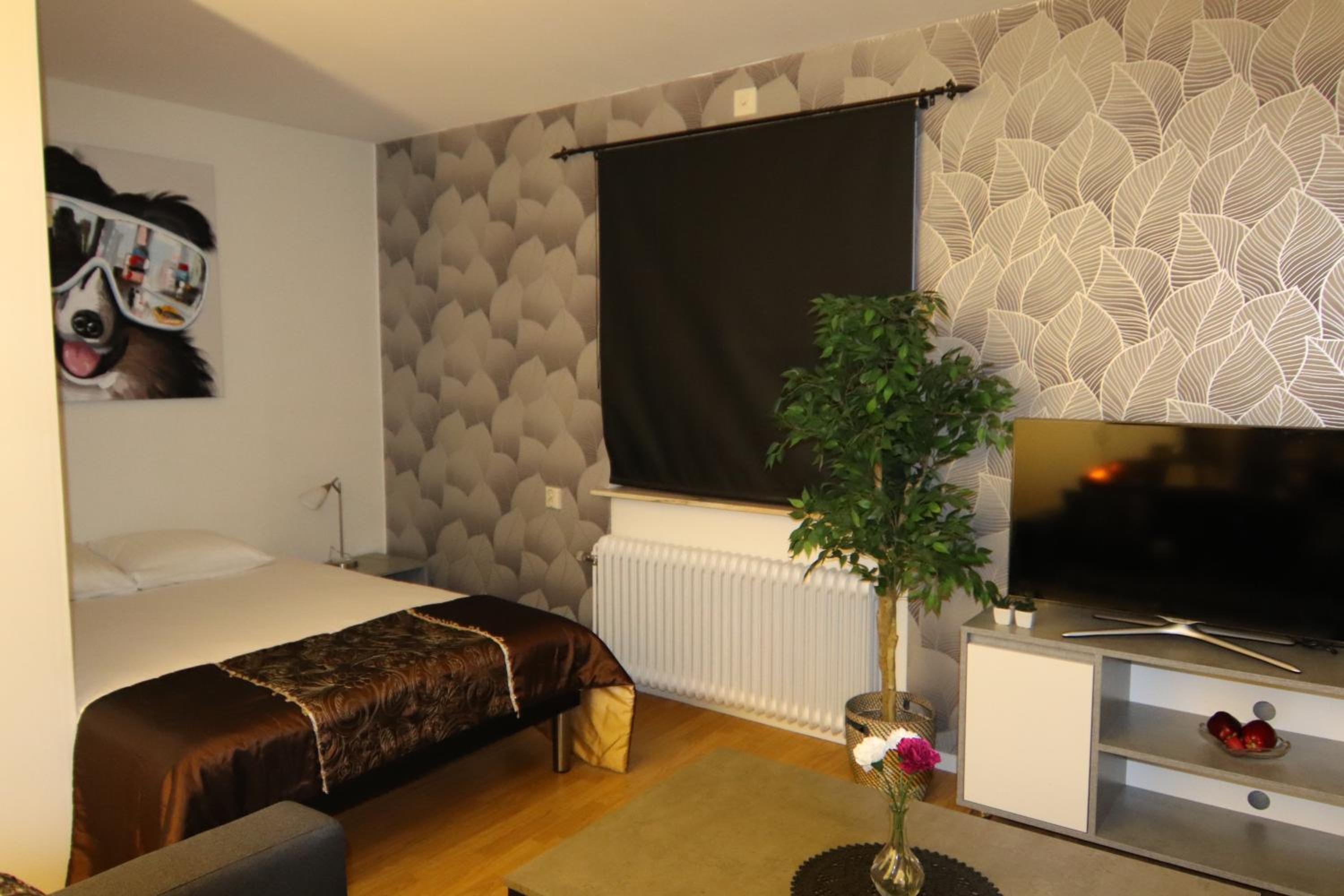 Studio Apartment photo 1