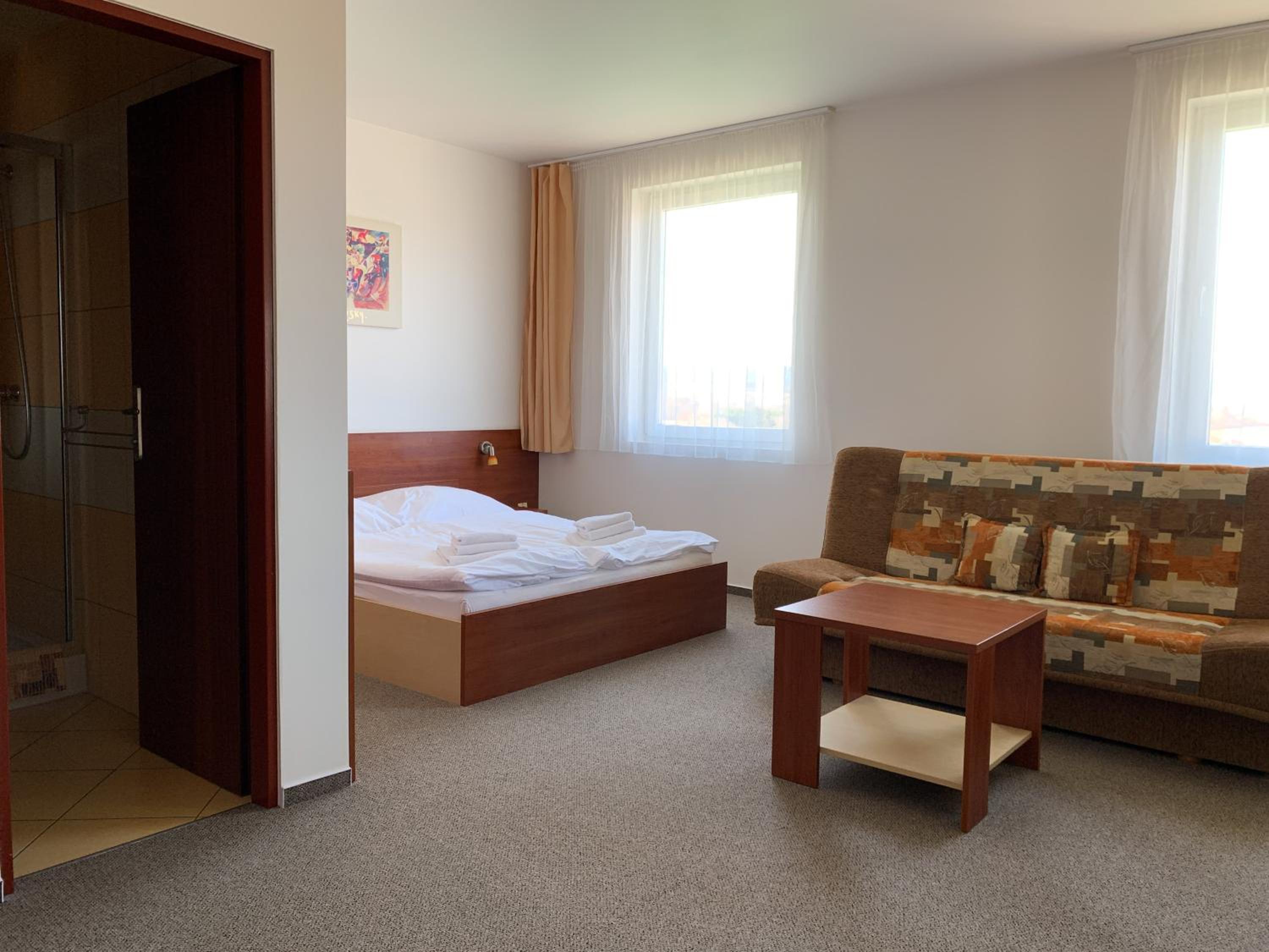 Large Double Room photo 2