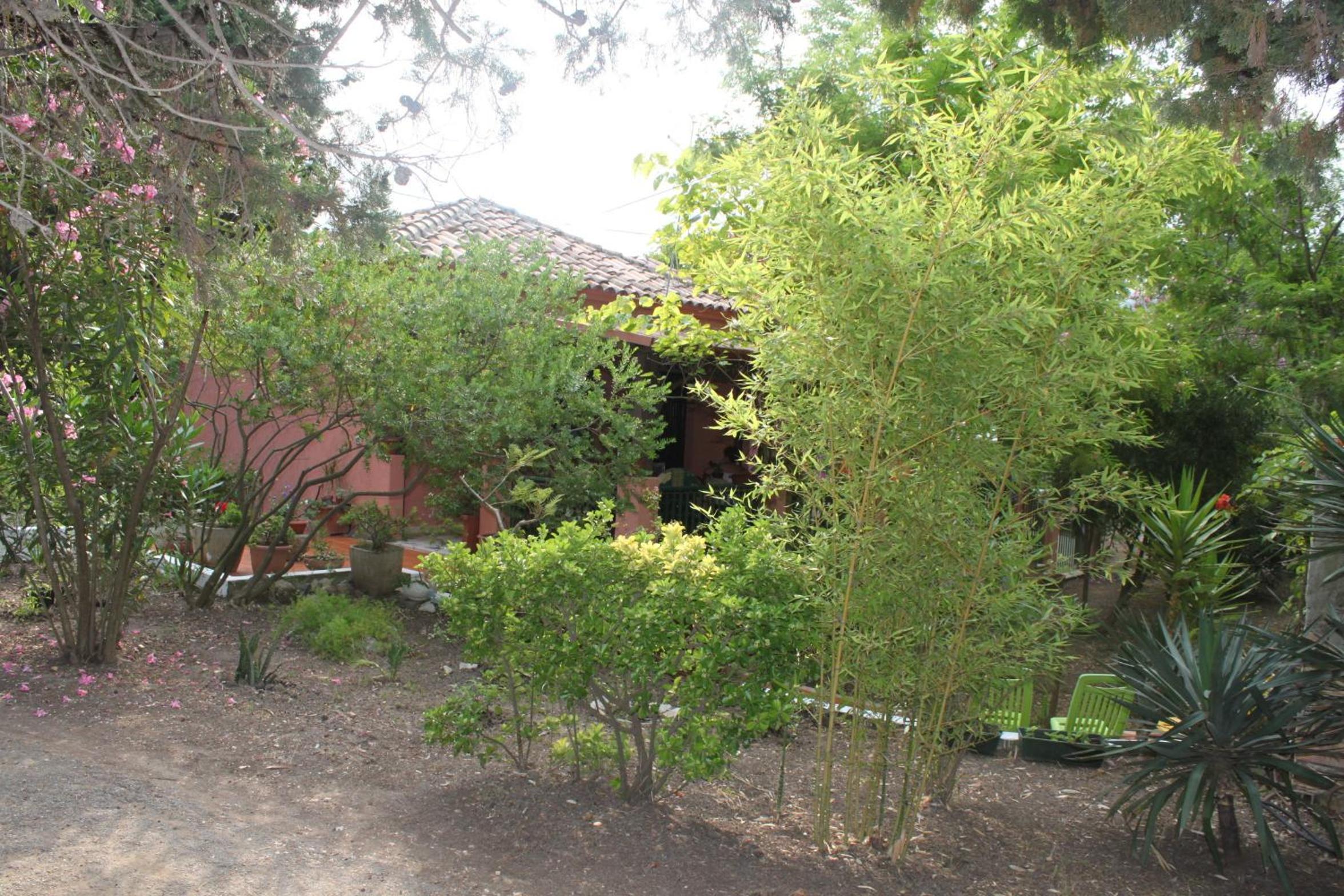 Two-Bedroom Villa photo 3