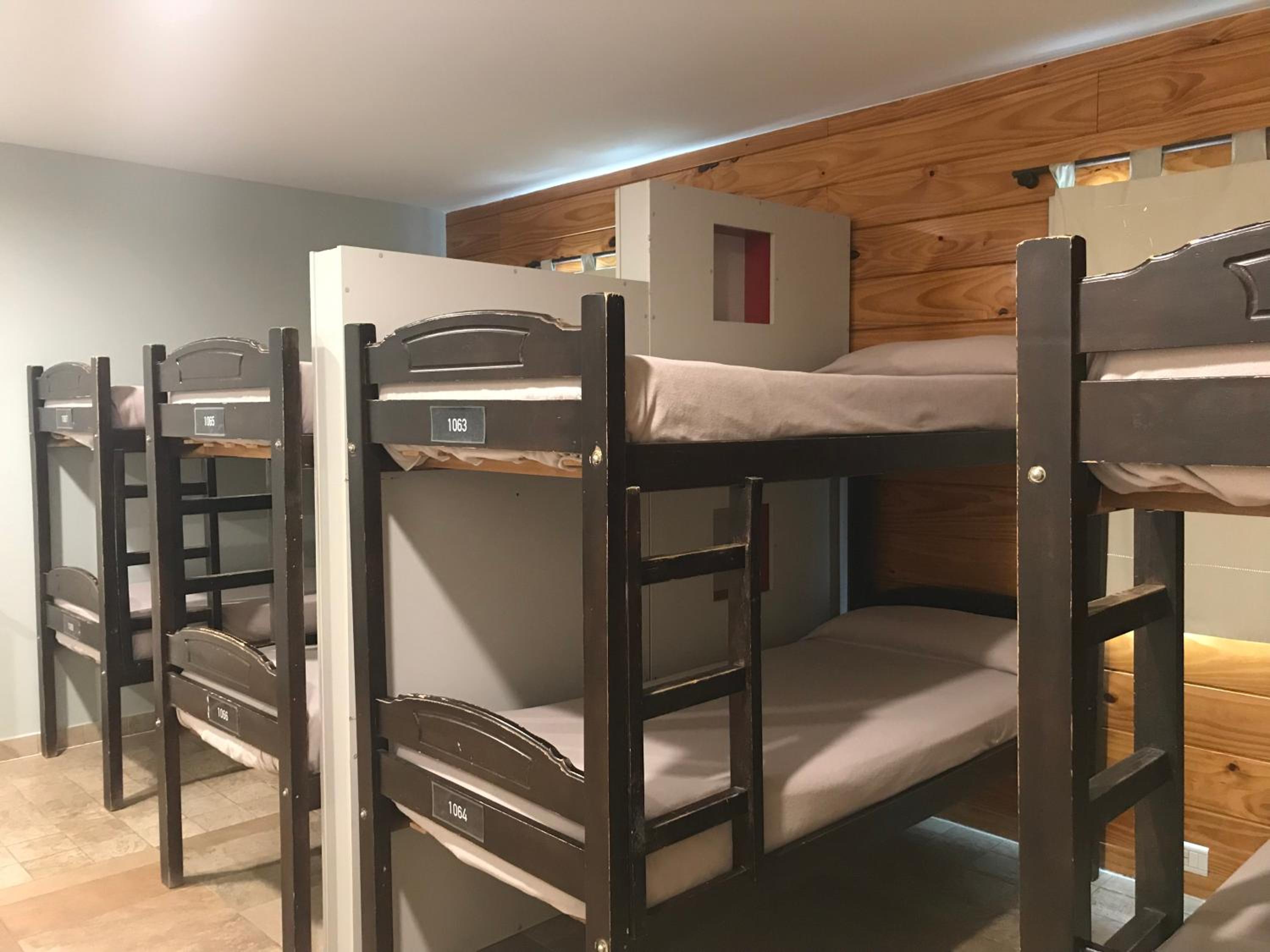 Bunk Bed In Mixed Dormitory Room photo 3
