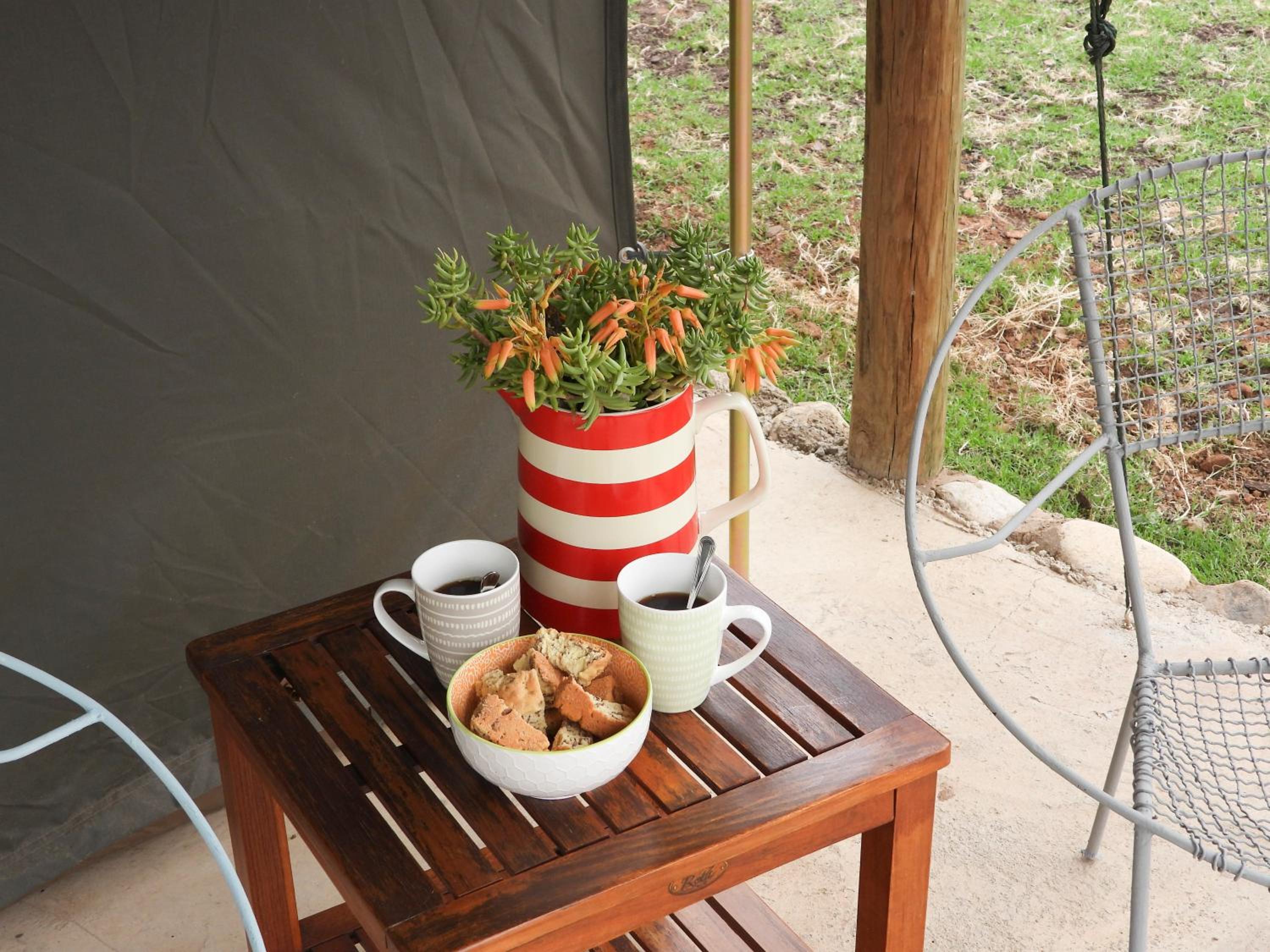 Tent photo 2