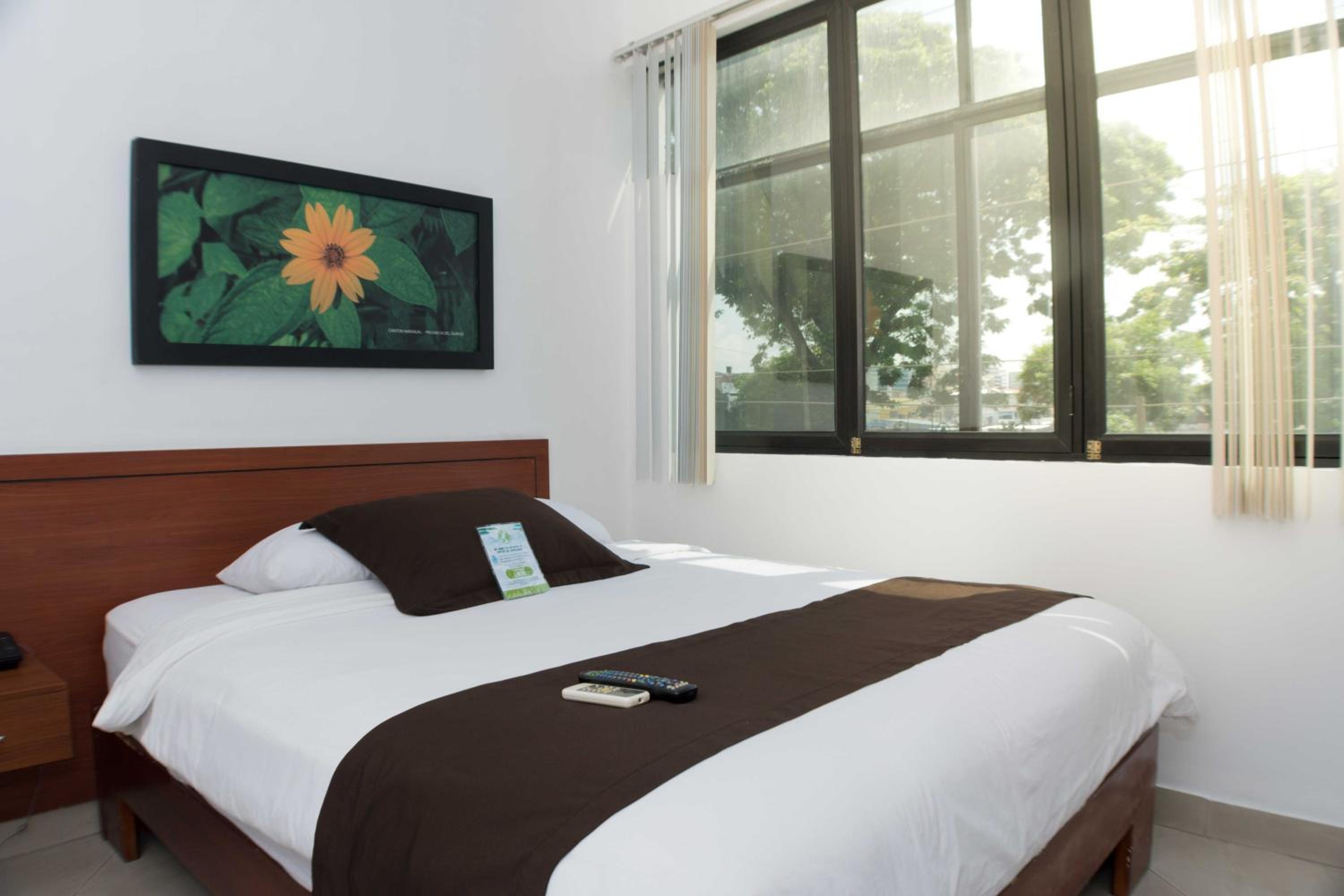 Budget Single Room photo 1