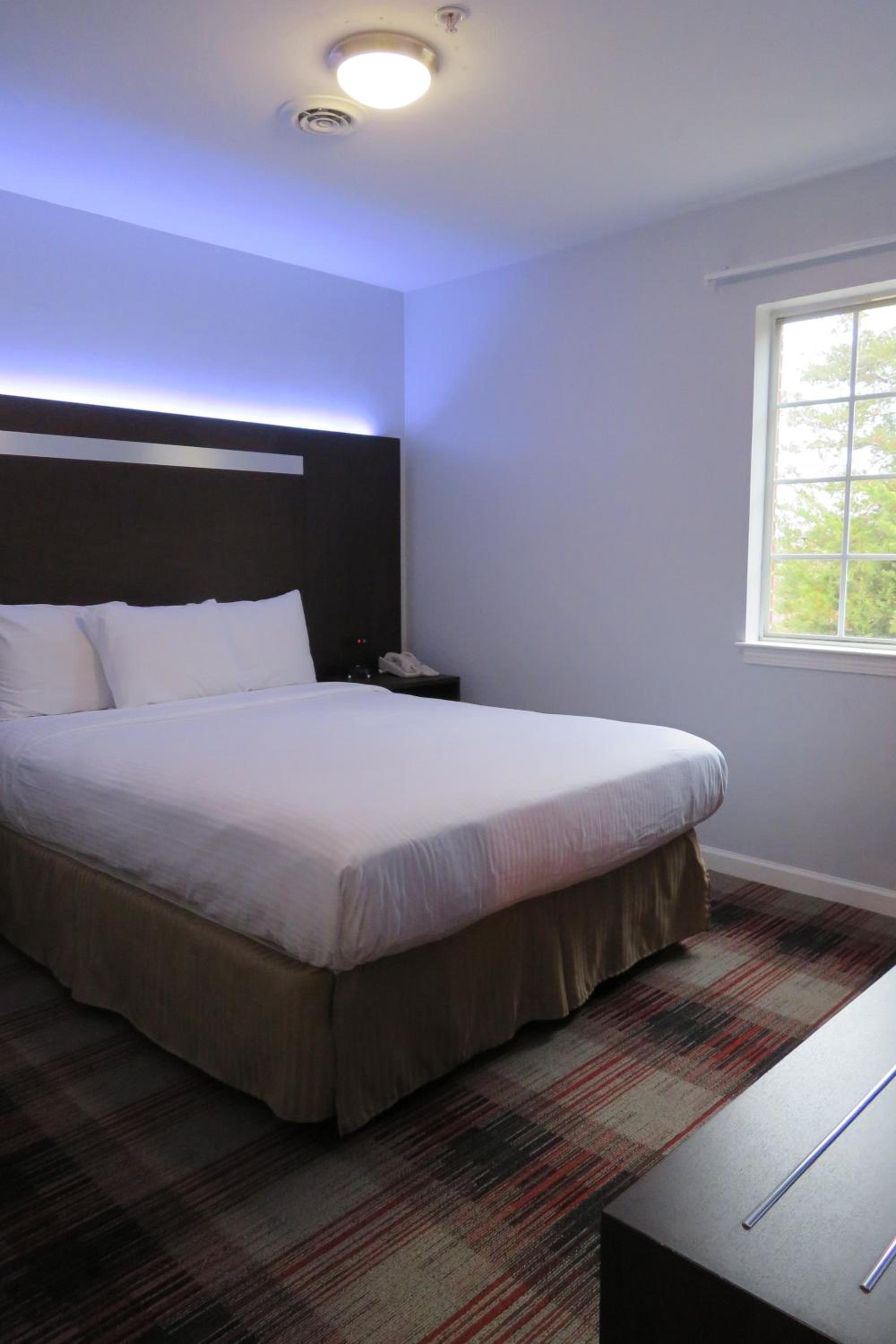One-Bedroom Suite - Photo 5