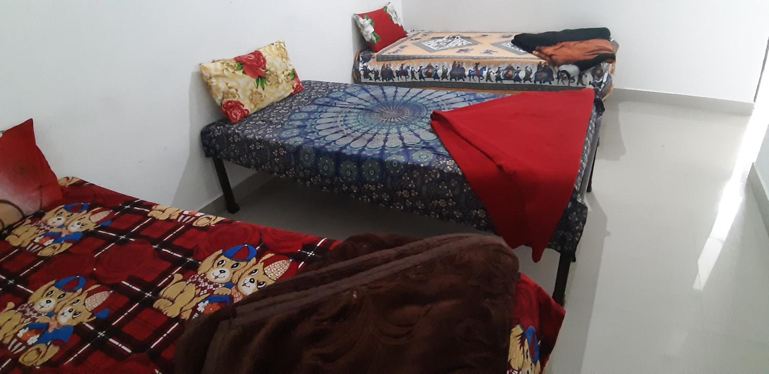 Bunk Bed in Mixed Dormitory Room photo 1