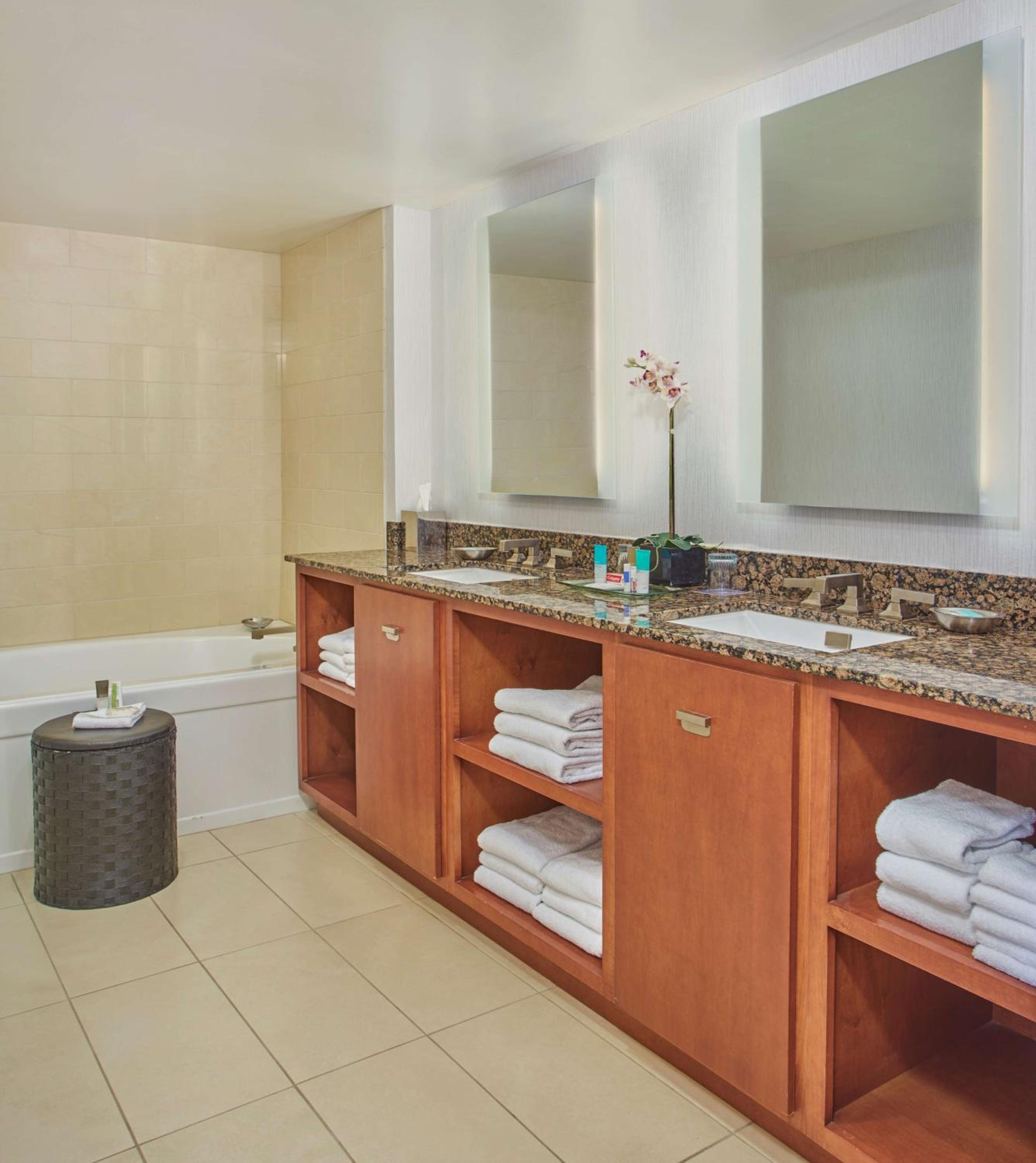 Deluxe Suite photo 3