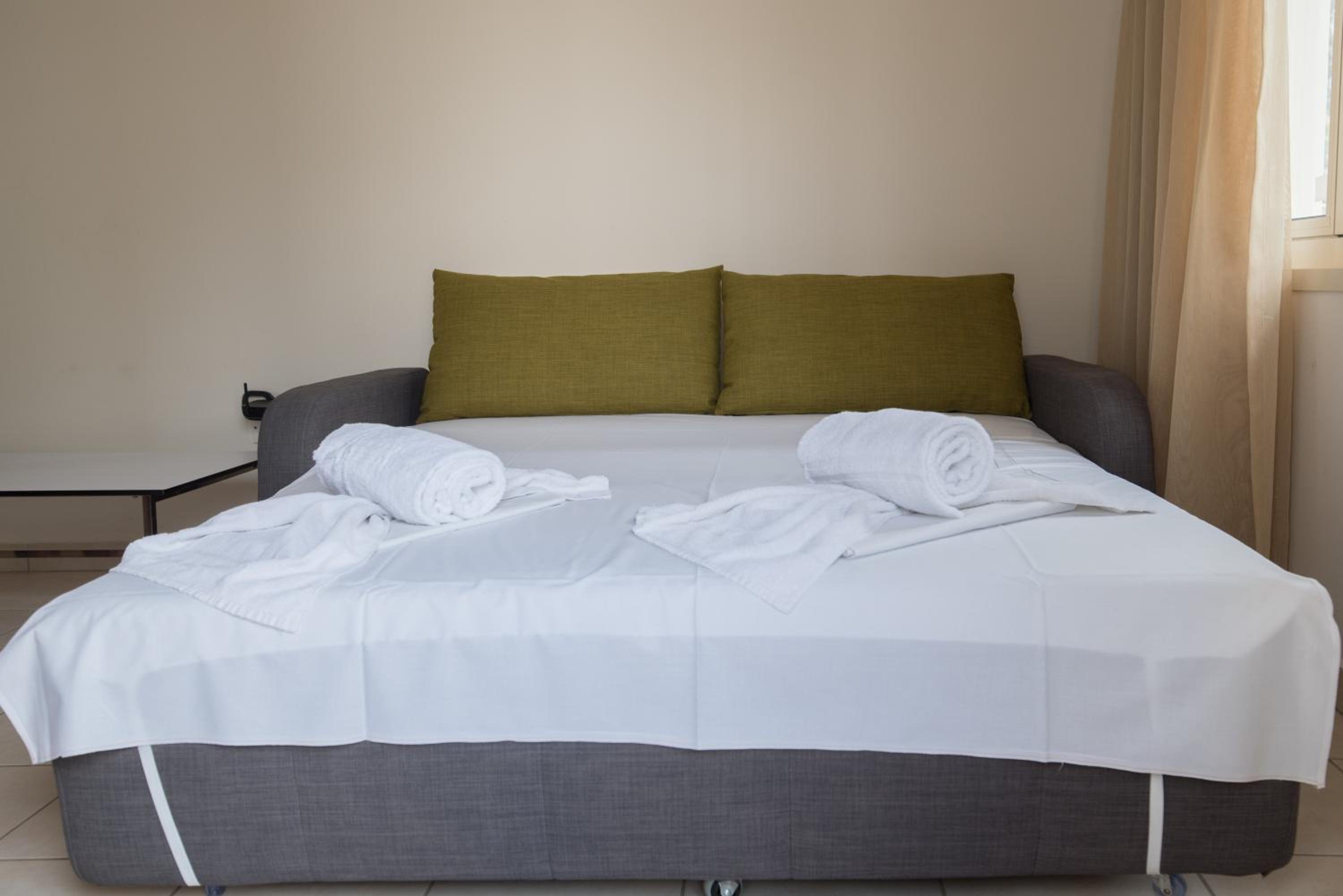 Standard One-Bedroom Apartment photo 1