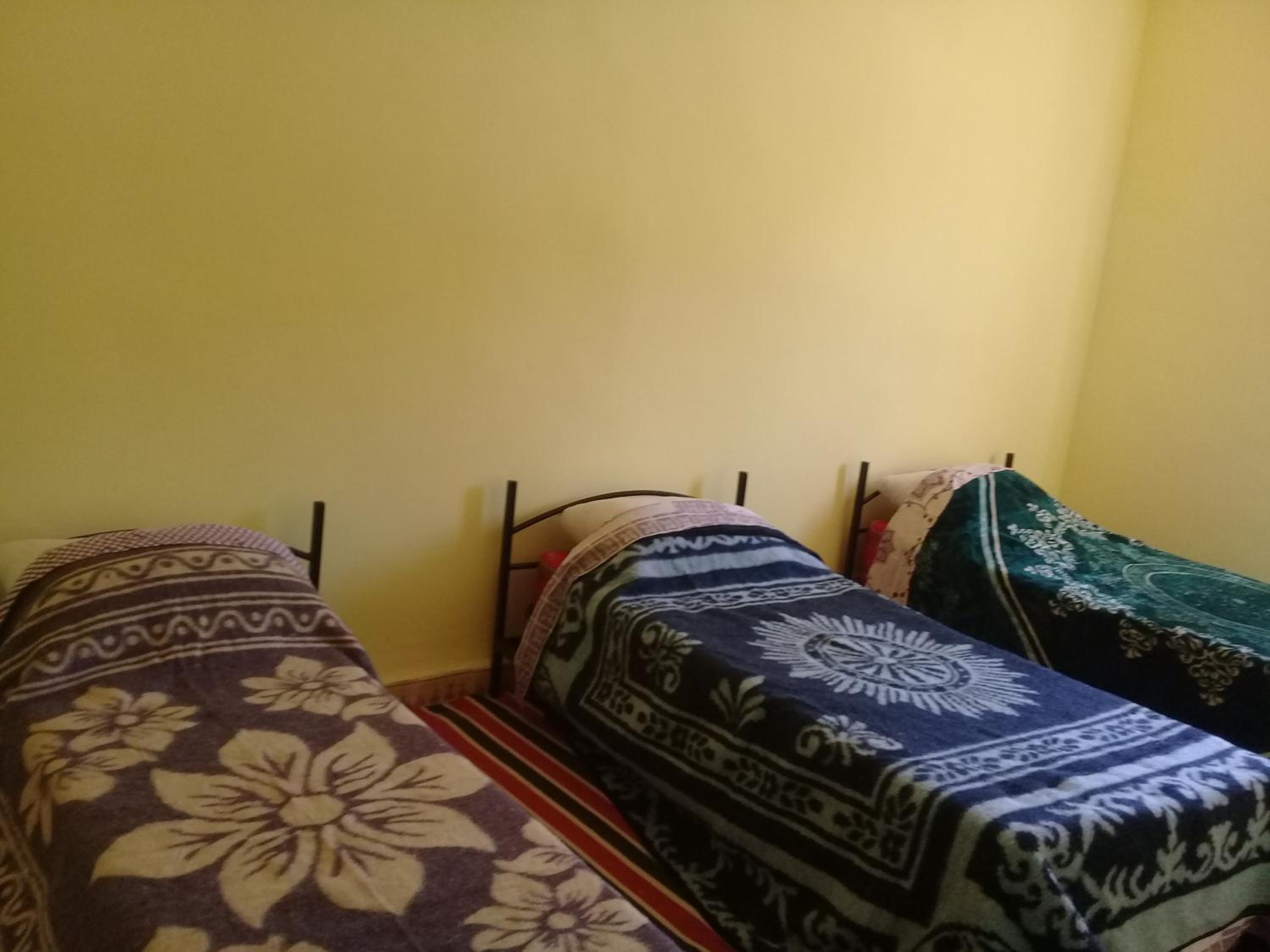 Deluxe Double or Twin Room photo 1