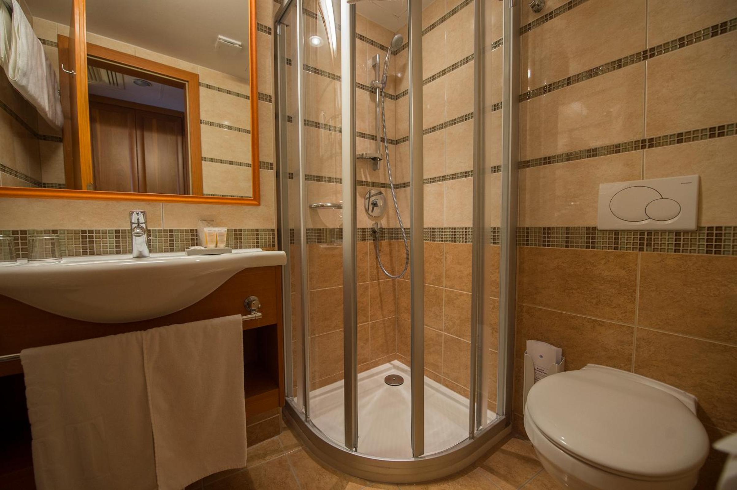 Premium Plus Room - Photo 11