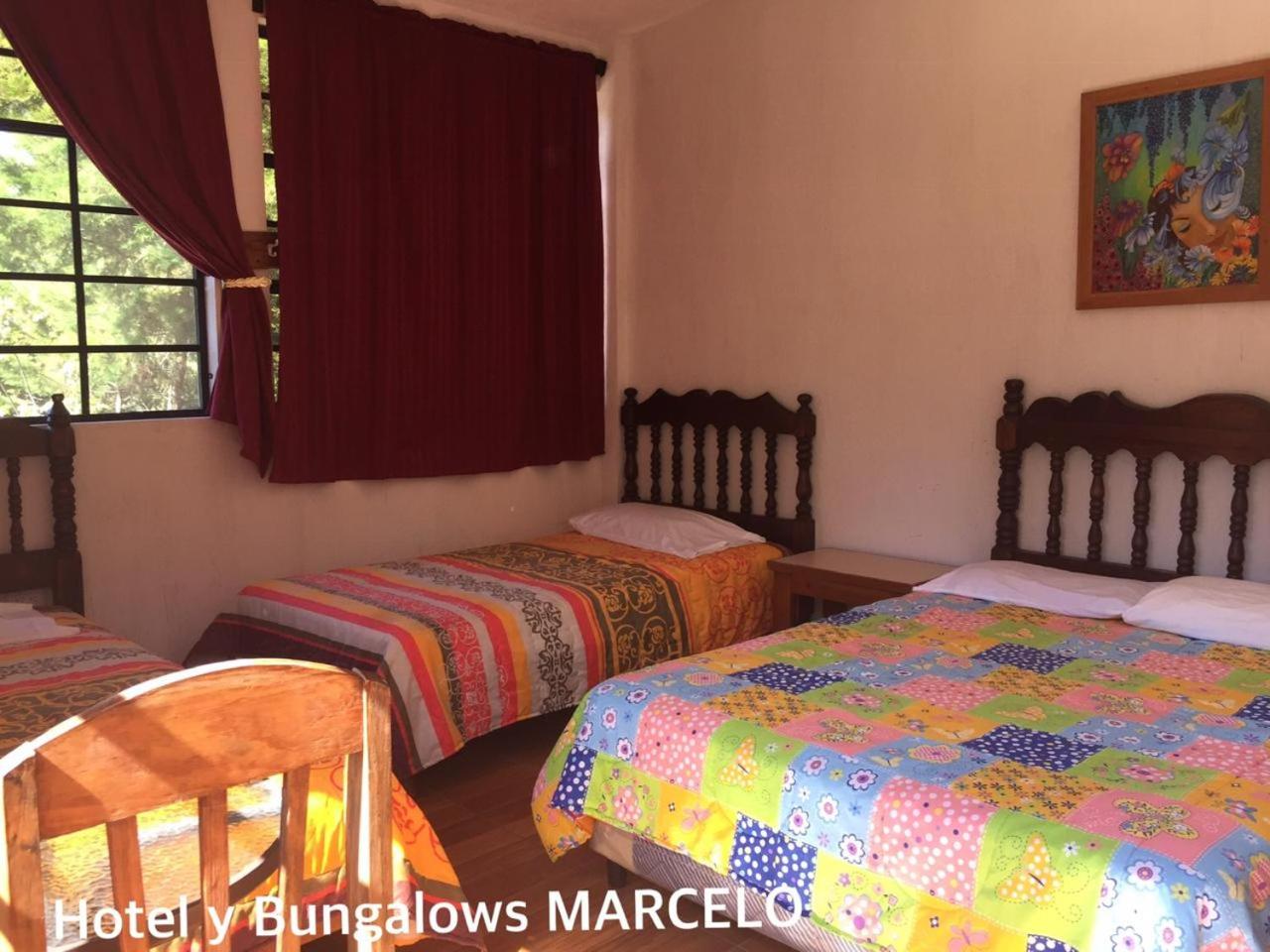 Triple Room photo 1