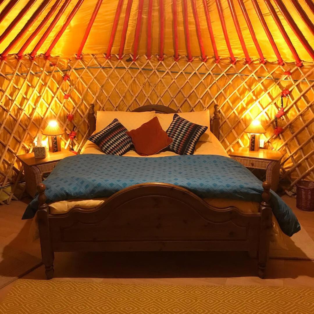 King Room - Photo 1