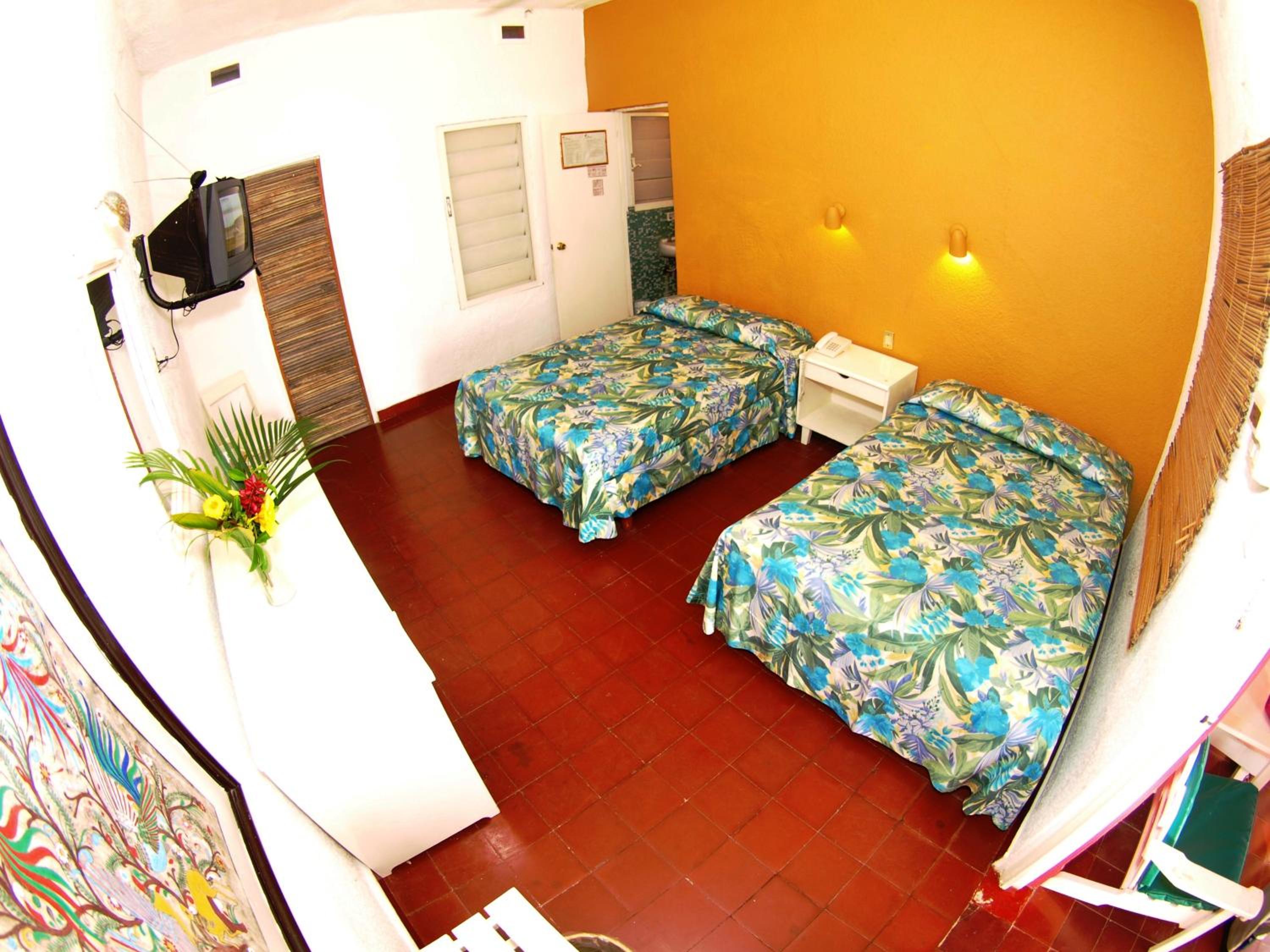 Superior Double Room photo 3