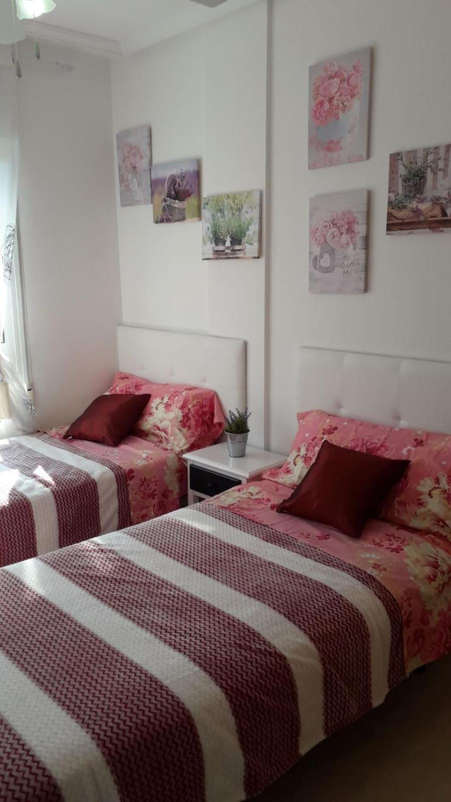Apartment - Photo 9