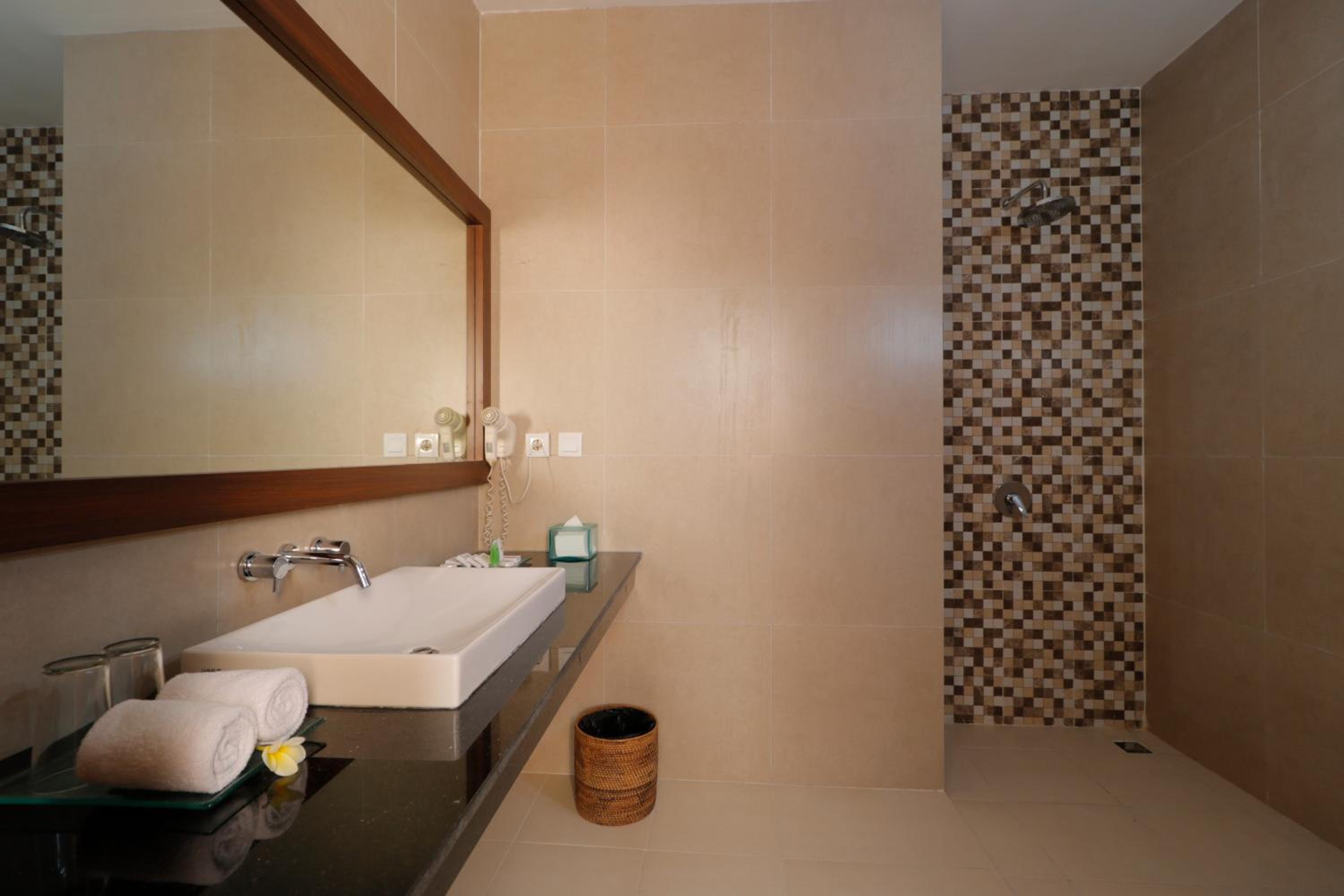 Deluxe Double or Twin Room - Photo 4