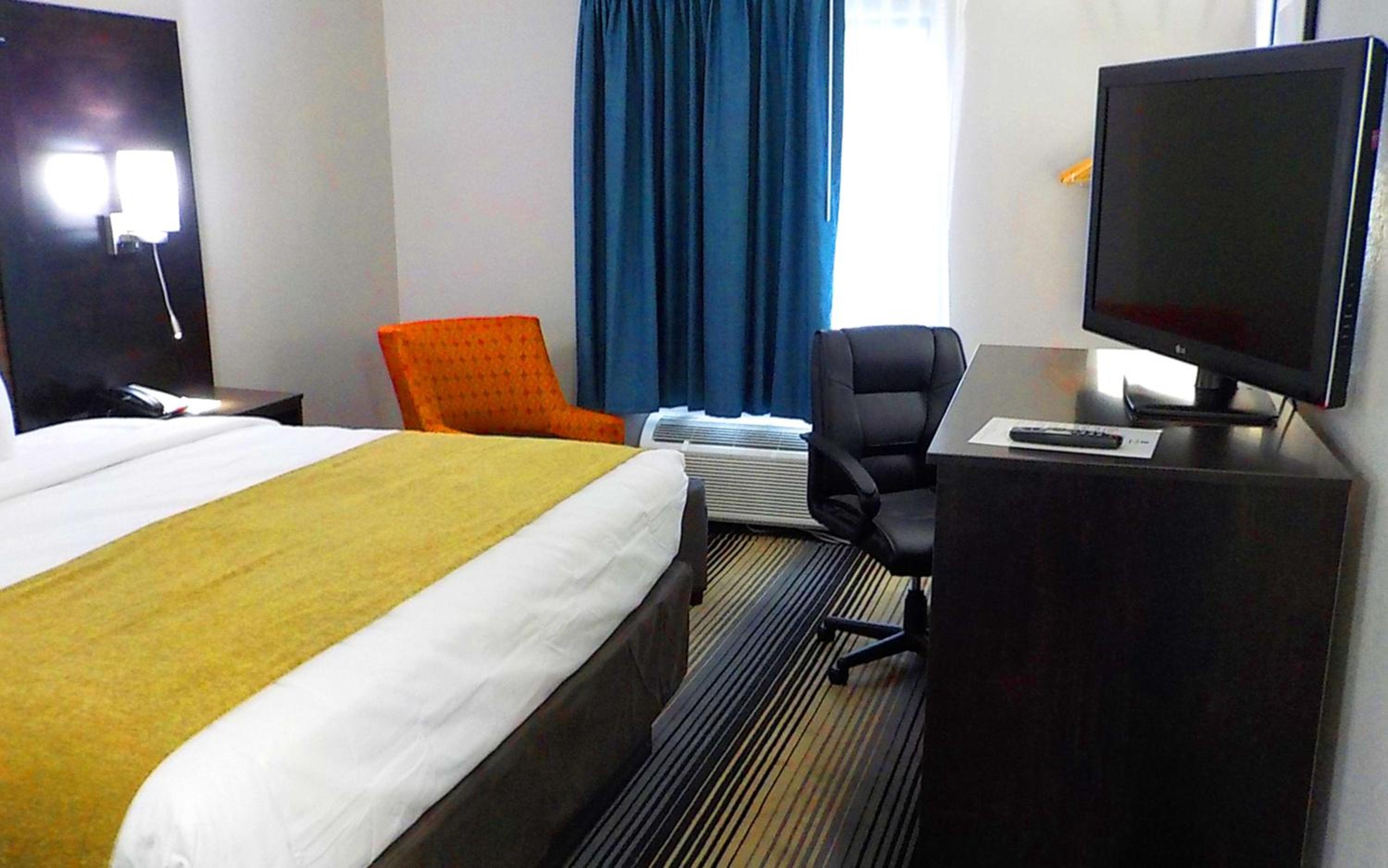 King Suite photo 1