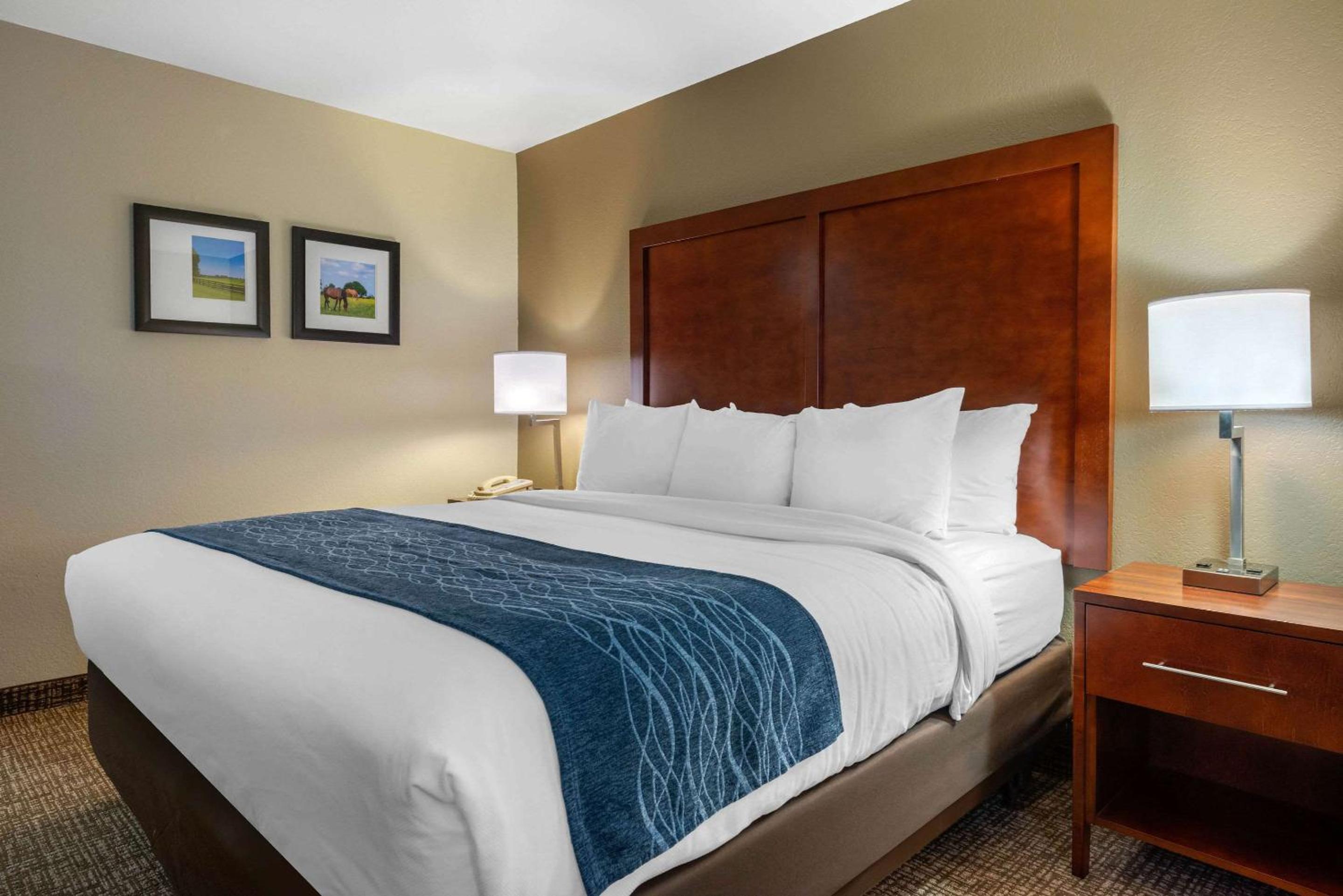 King Room - Disability Access/Non-Smoking - Photo 1