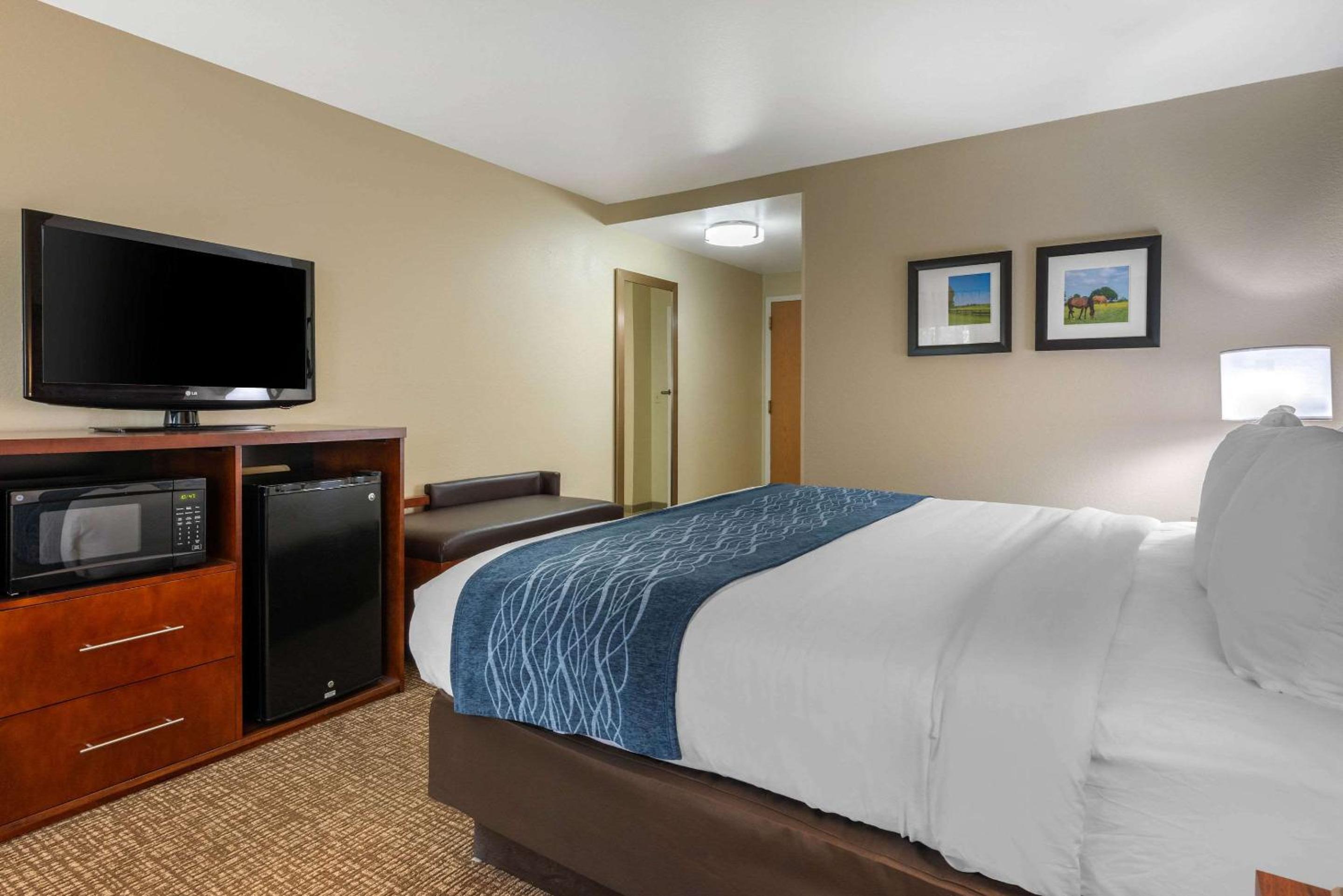 King Room - Non-Smoking - Photo 1
