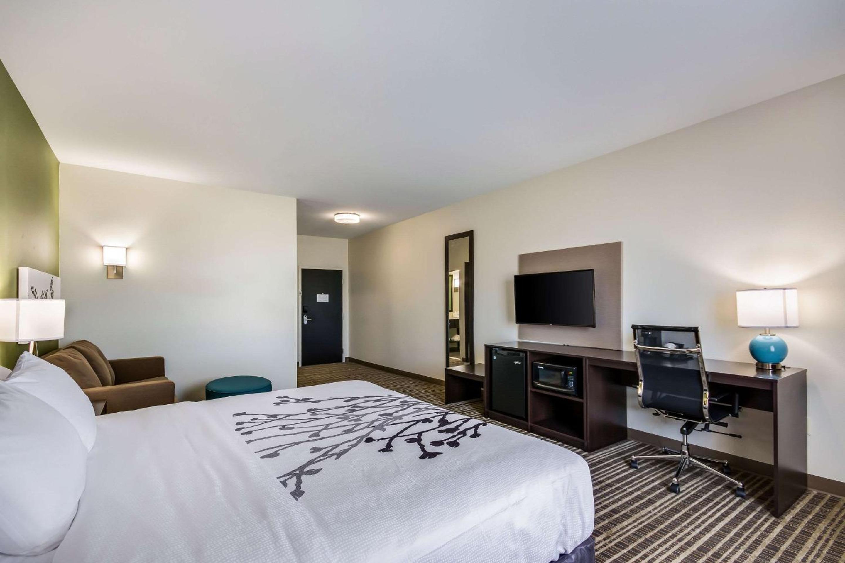 King Suite - Non-Smoking photo 1