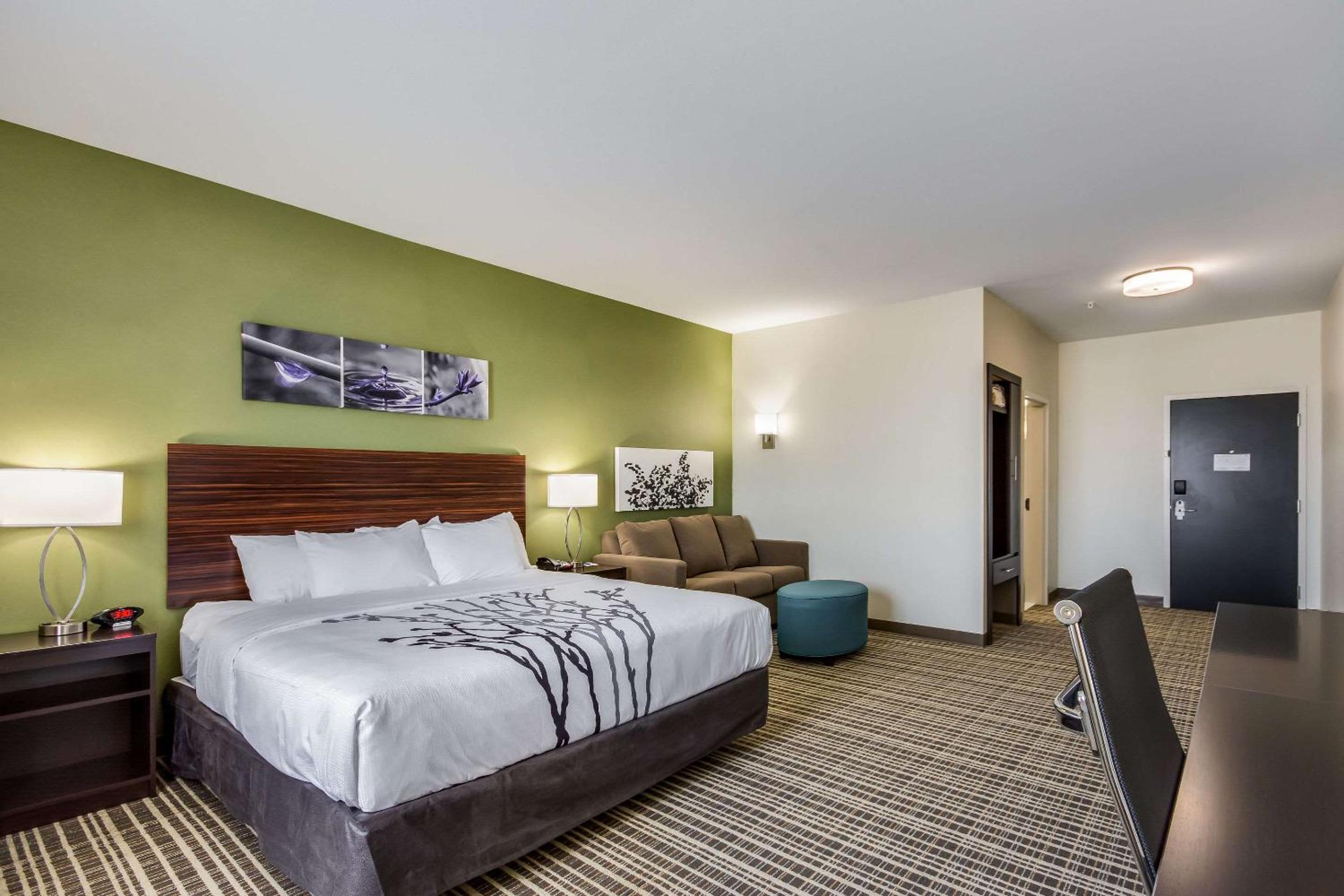 King Suite - Accessible/Non-Smoking photo 3