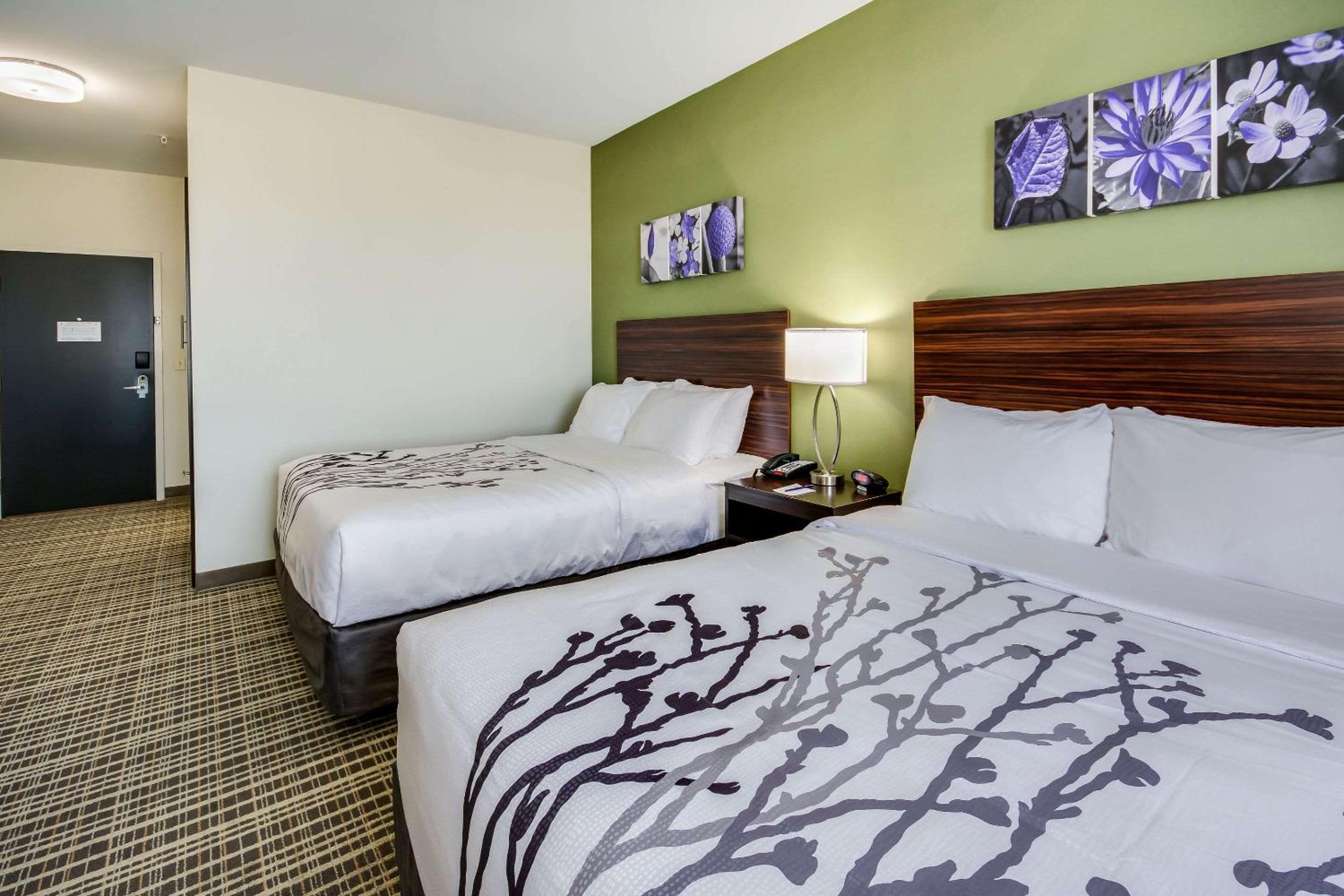Queen Room with Two Queen Beds - Non-Smoking photo 3