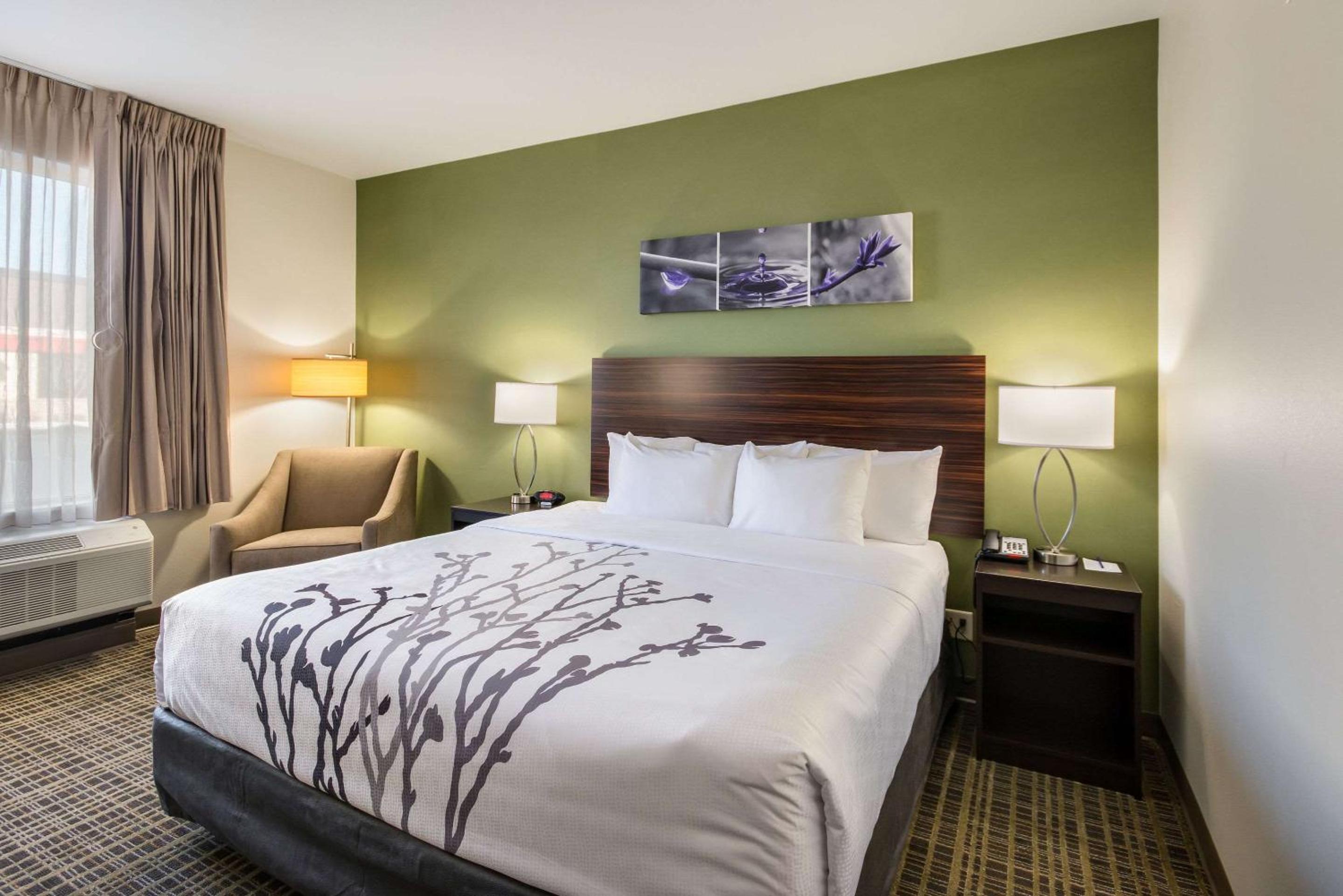 King Room - Accessible/Non-Smoking photo 2