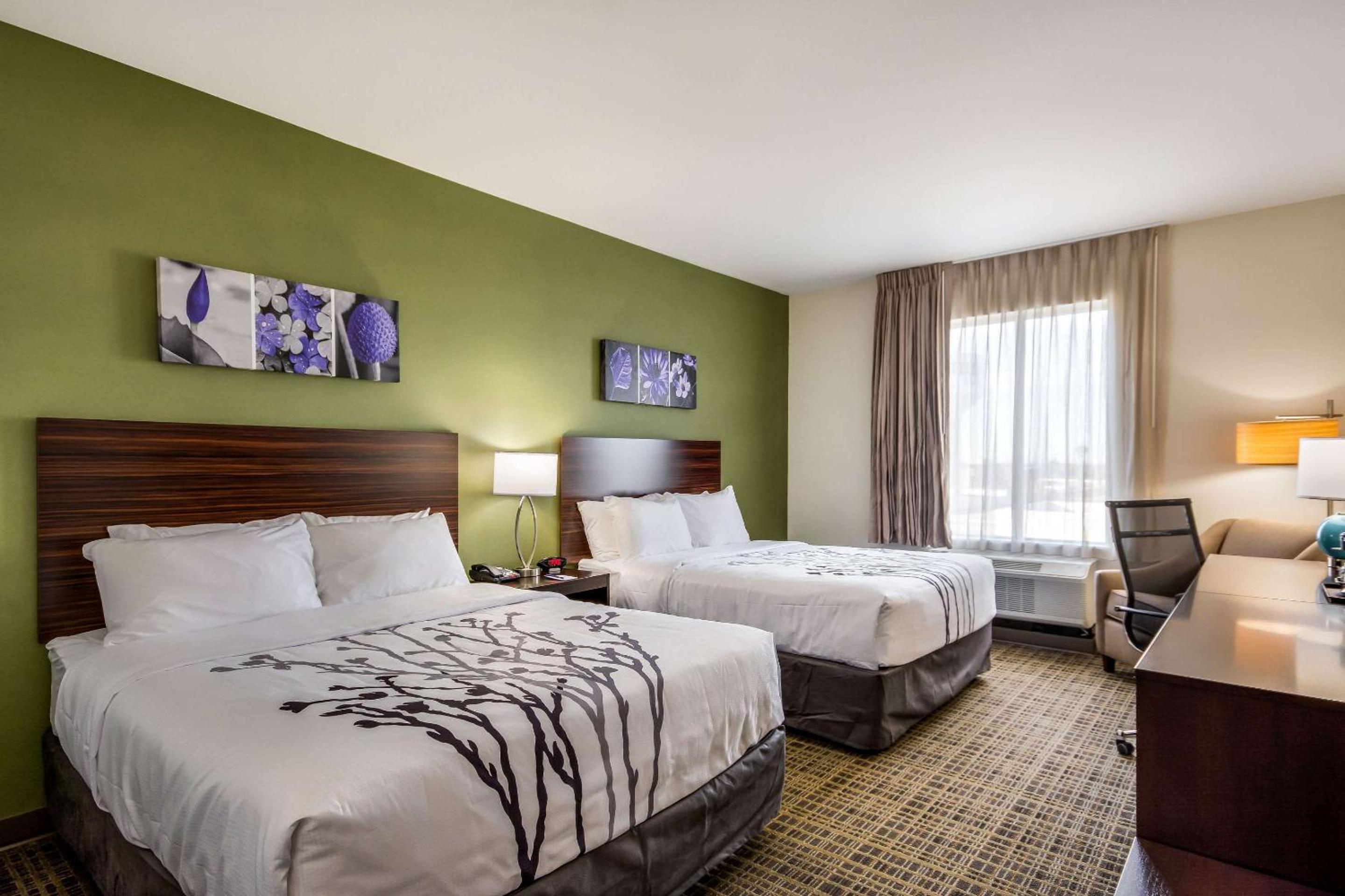 Queen Room with Two Queen Beds - Non-Smoking photo 2
