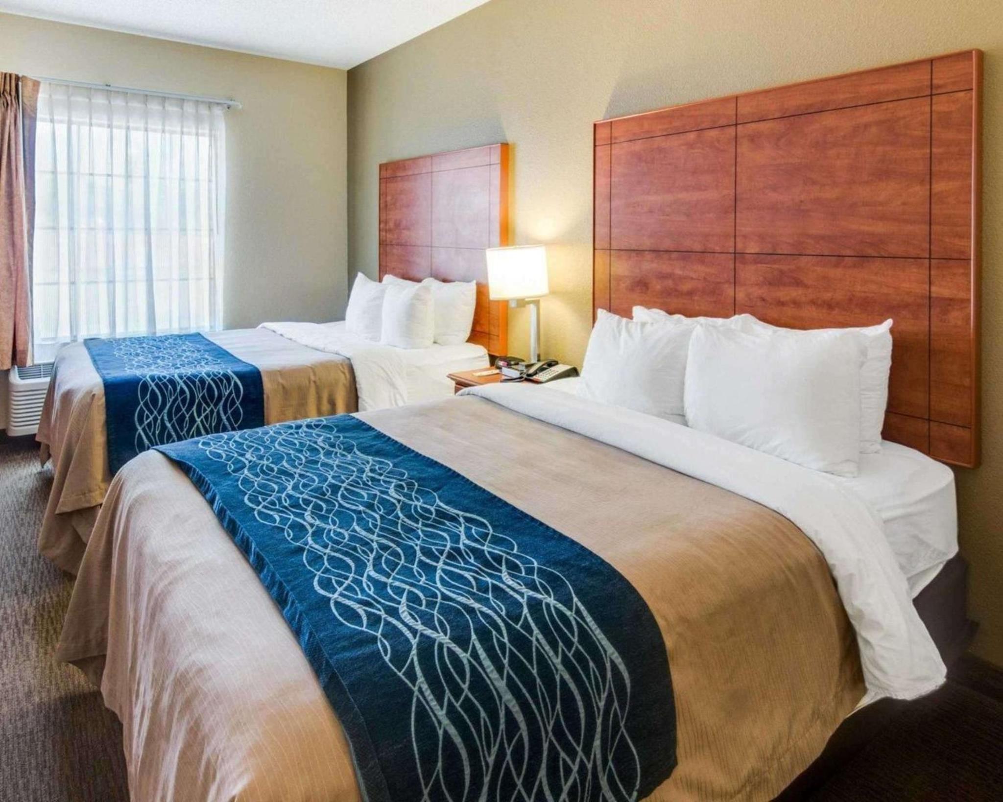 Queen Suite with Two Queen Beds - Non-Smoking - Photo 4