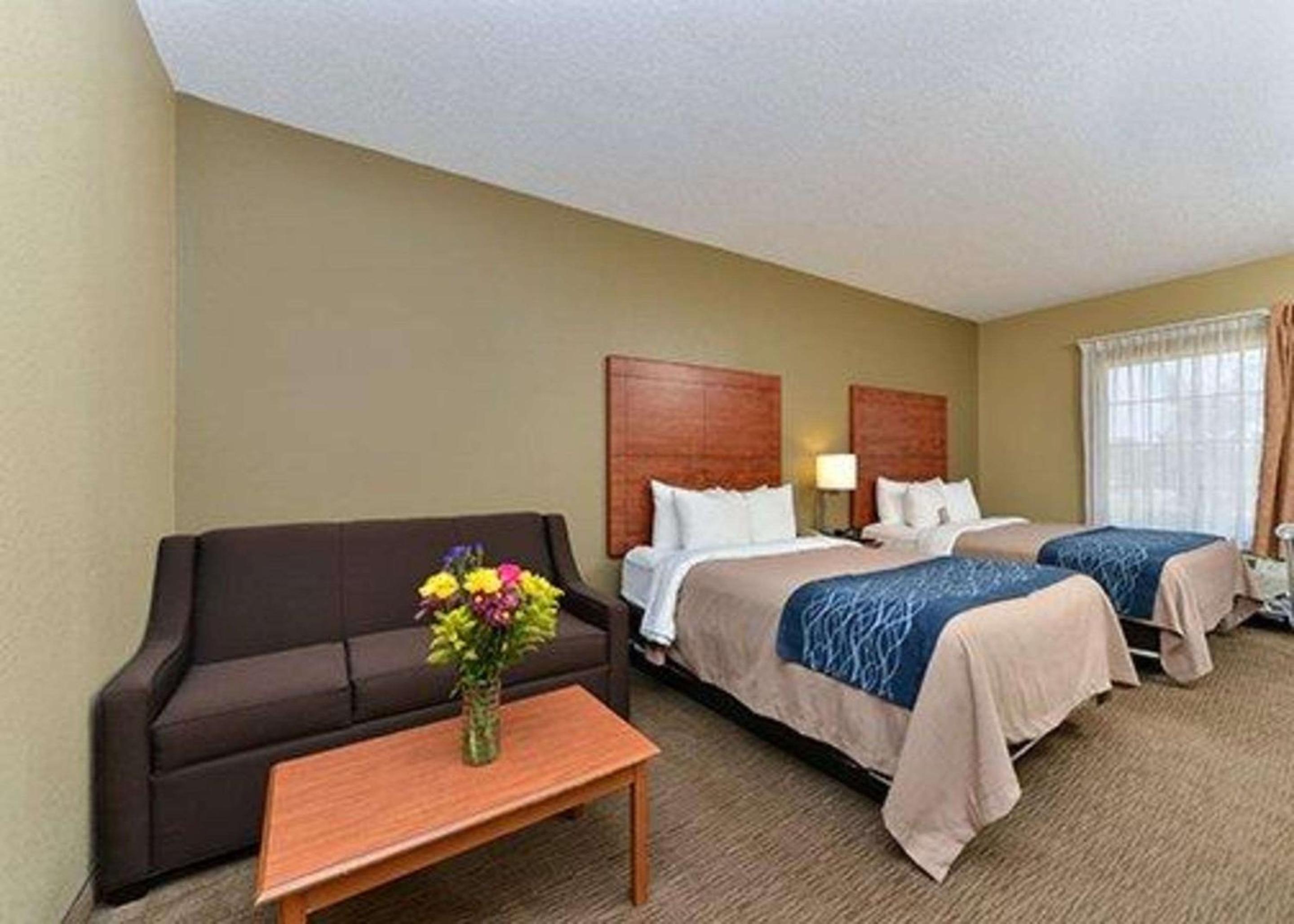 Queen Suite with Two Queen Beds - Non-Smoking - Photo 3