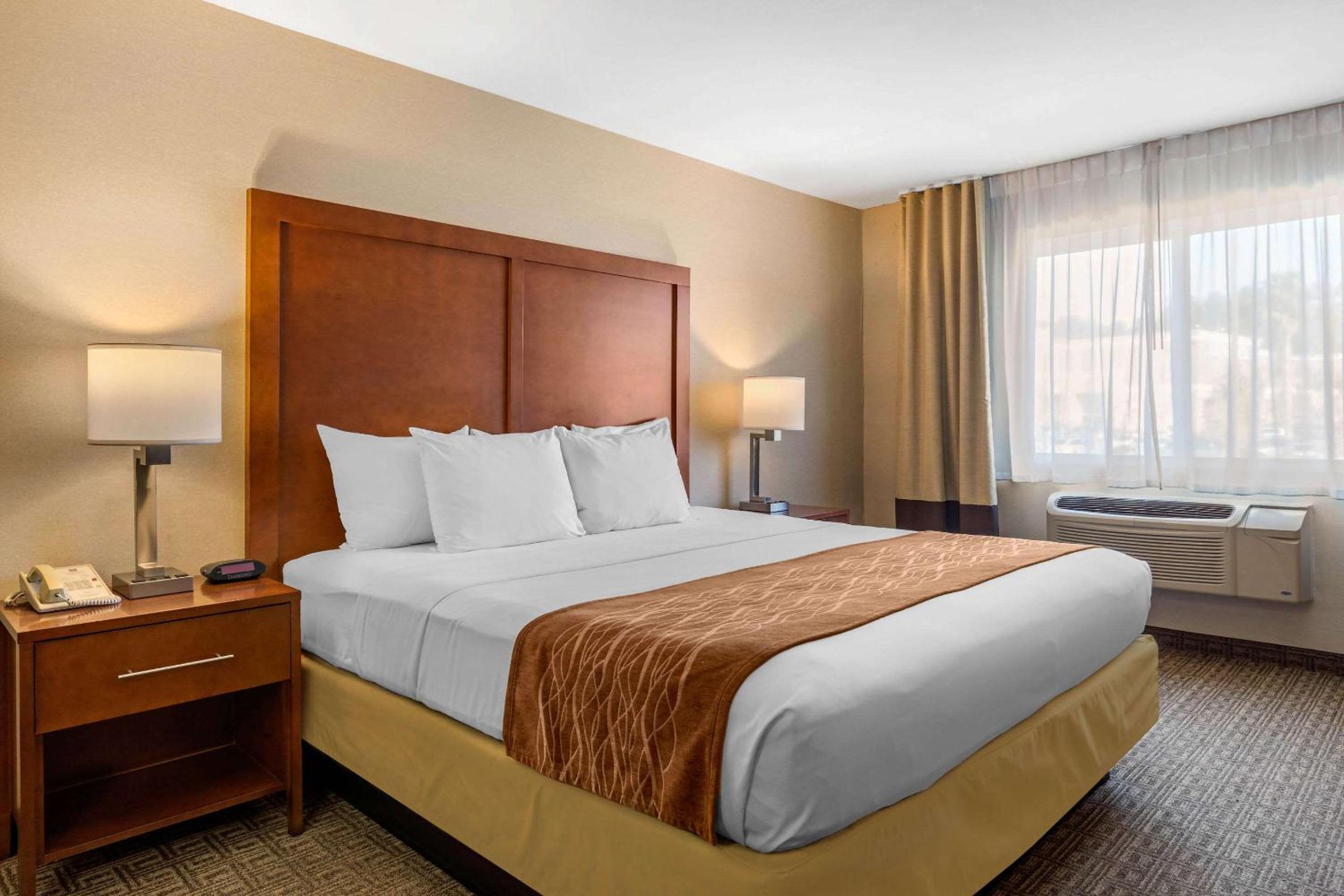 Standard Room, 1 King Bed, Non-Smoking - Photo 4