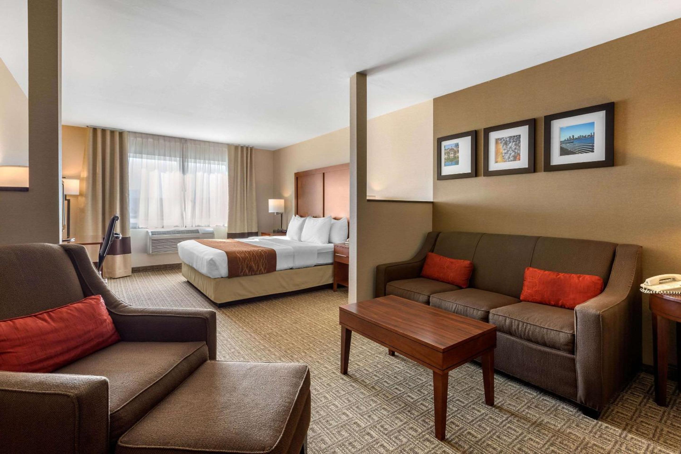 Suite, 1 King Bed with Sofa Bed, Non-Smoking - Photo 1