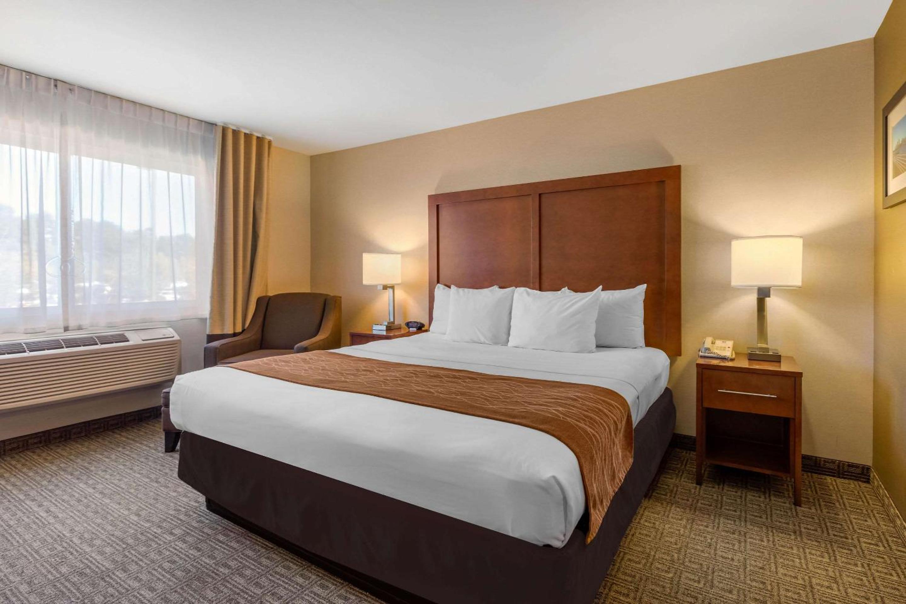 Standard Room, 1 King Bed, Non-Smoking - Photo 8