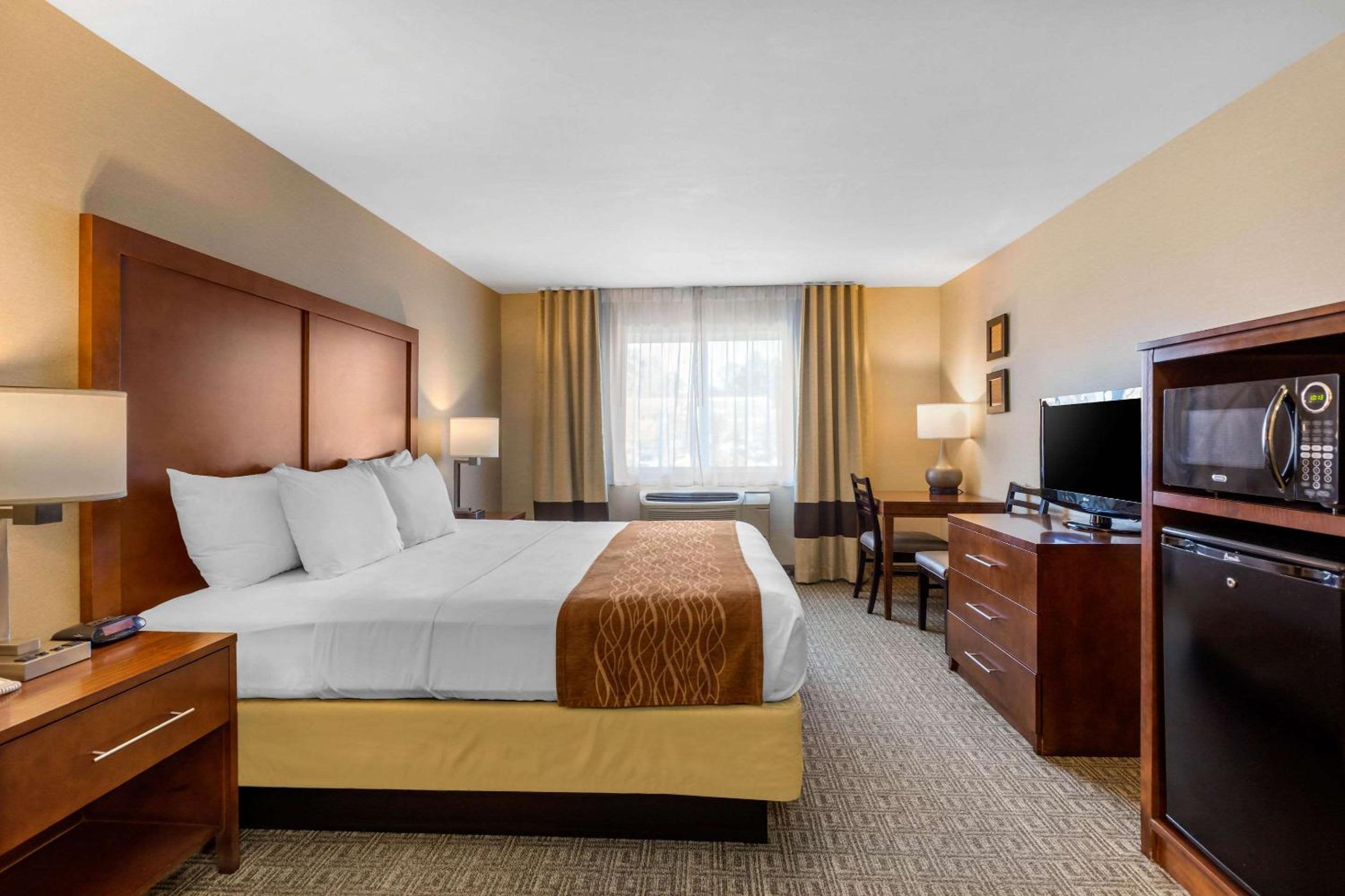 Standard Room, 1 King Bed, Non-Smoking - Photo 5