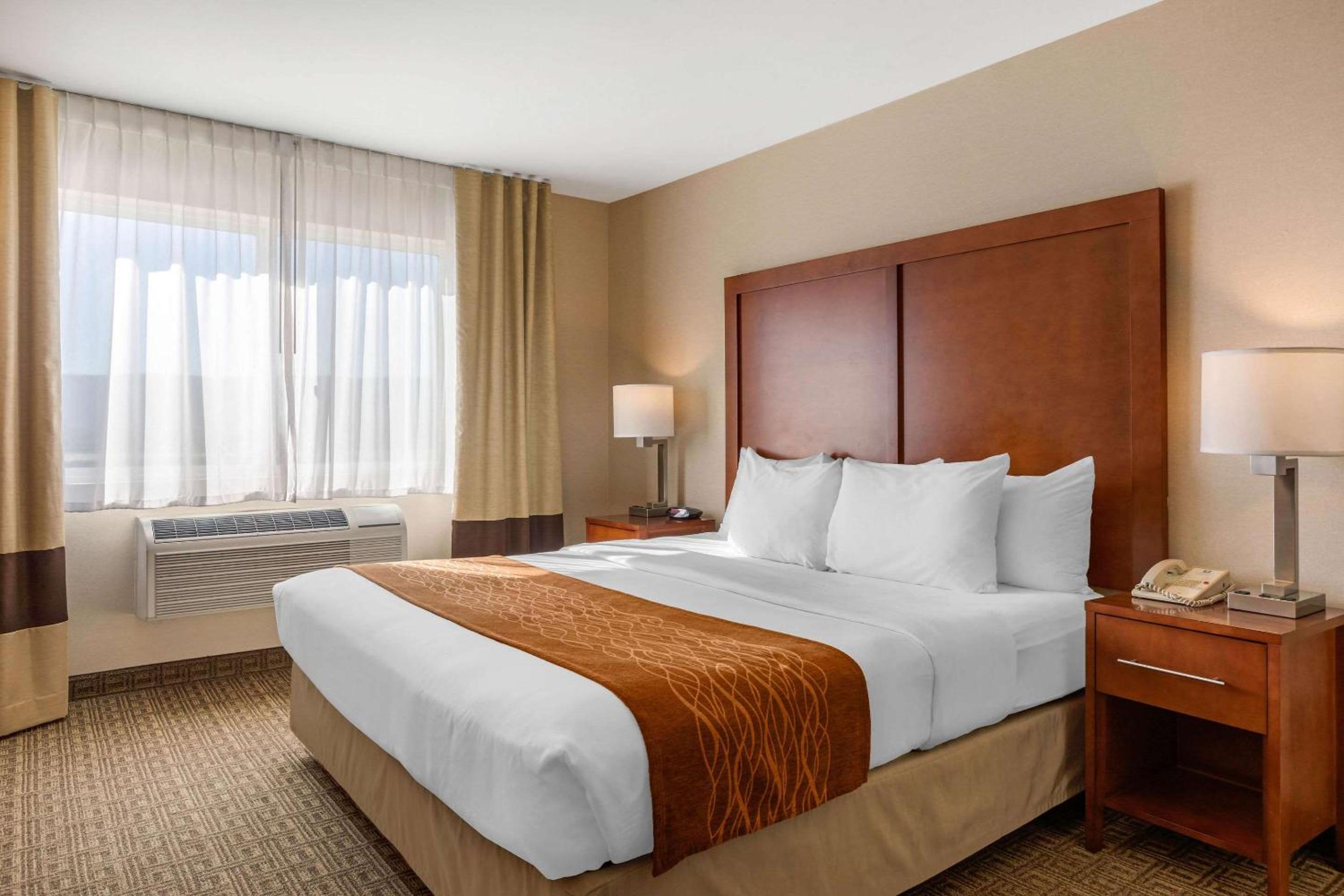 Standard Room, 1 King Bed, Non-Smoking - Photo 9