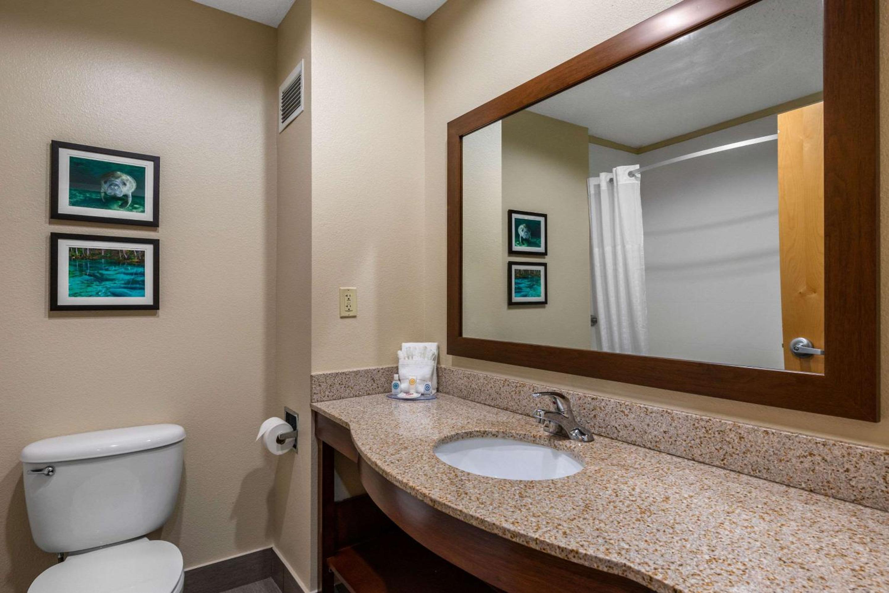 King Room - Accessible/Non-Smoking - Photo 4