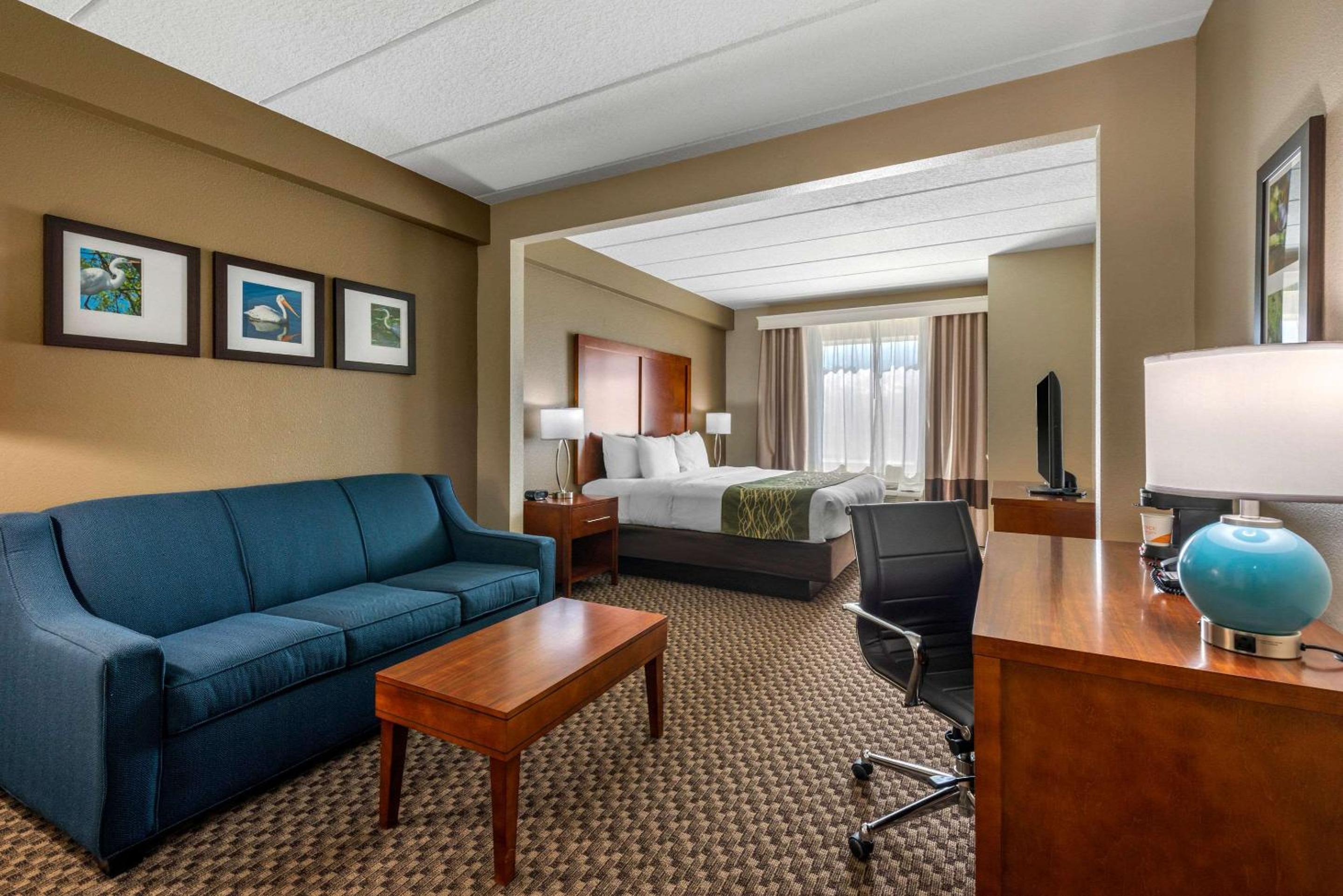 King Room - Accessible/Non-Smoking - Photo 1