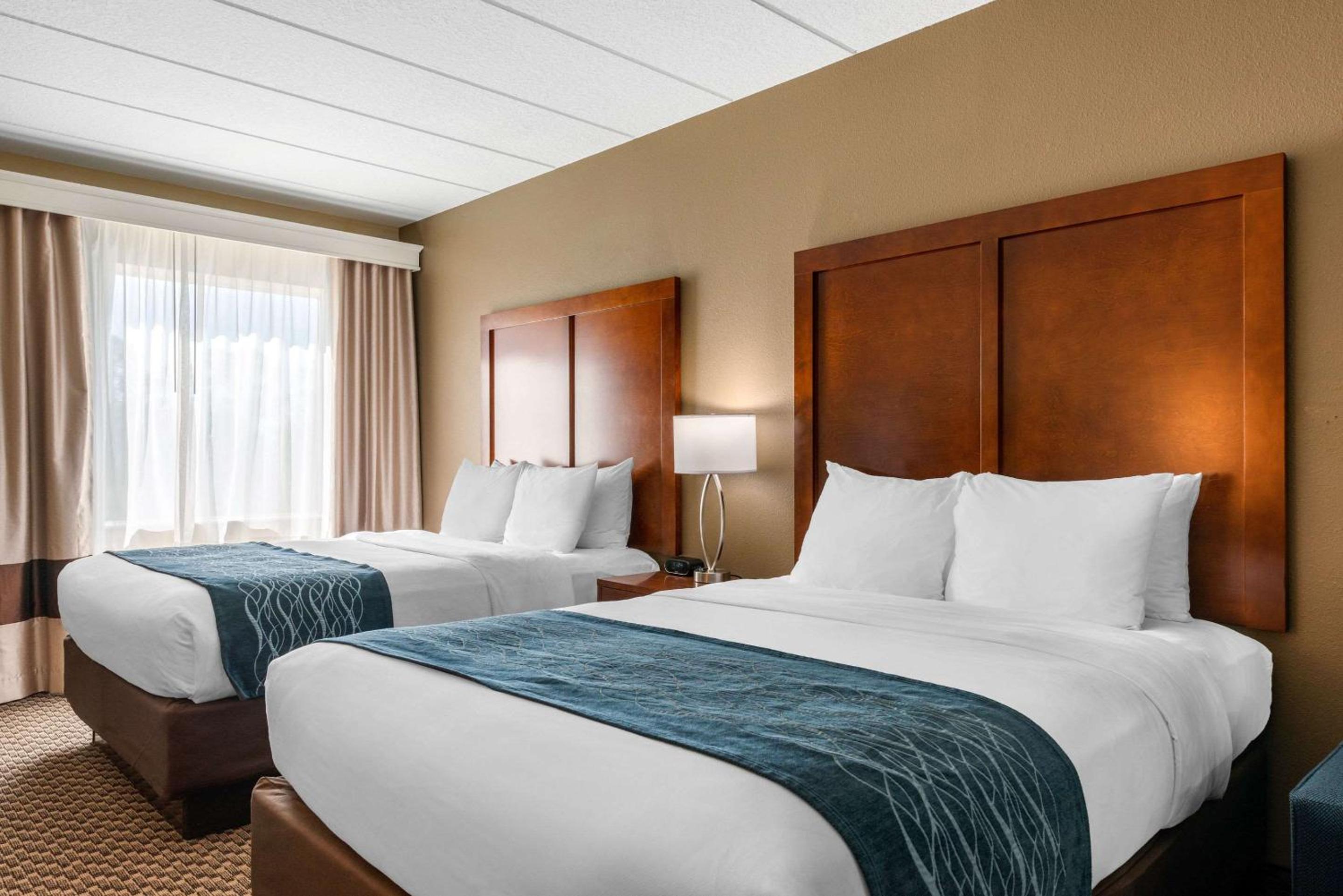 Queen Suite with Two Queen Beds - Accessible/Non-Smoking - Photo 3