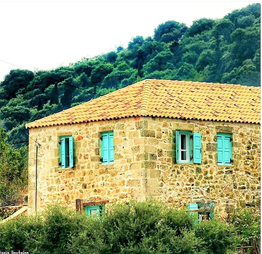 Villa photo 2