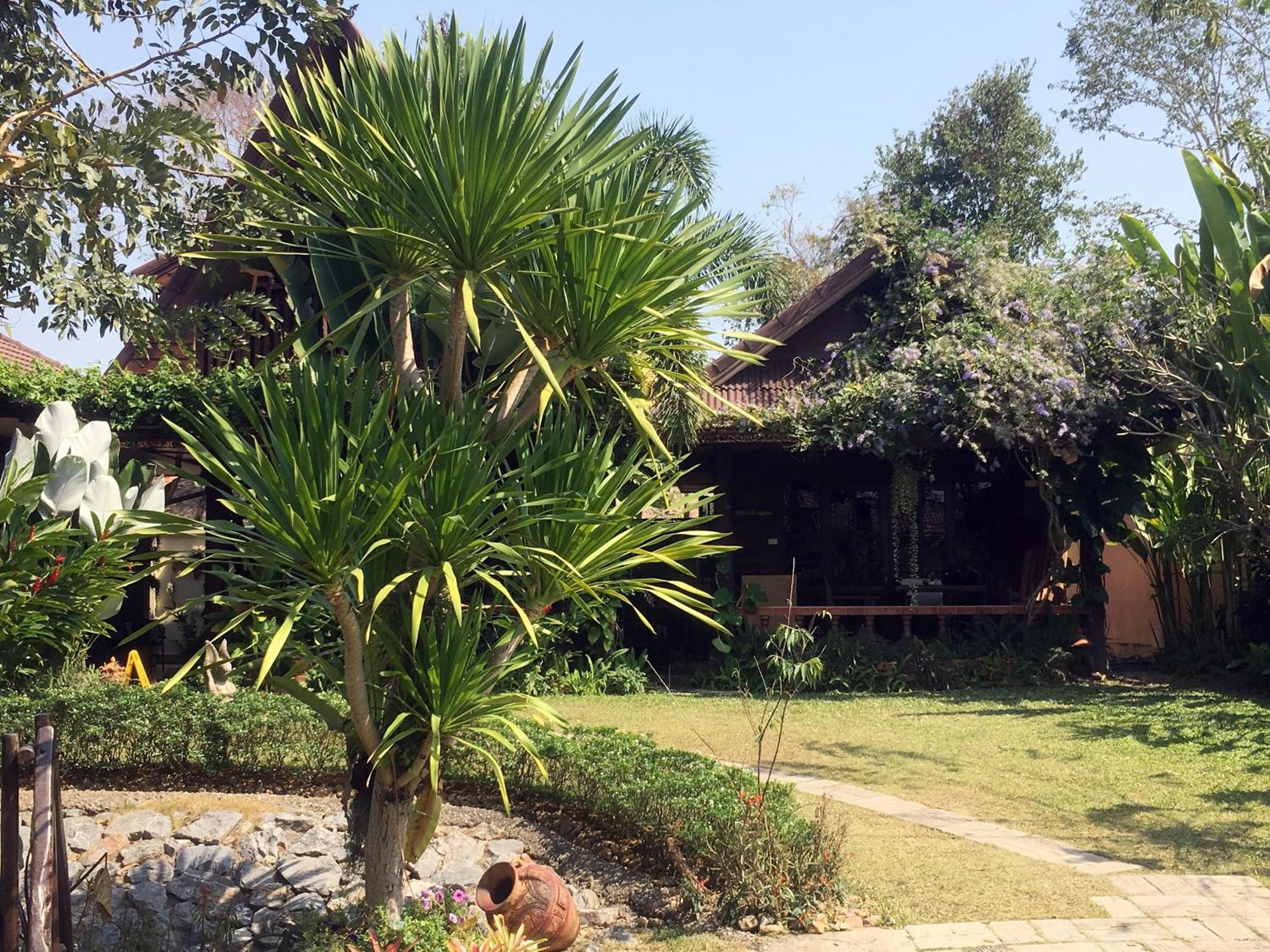 Deluxe Bungalow - Photo 6