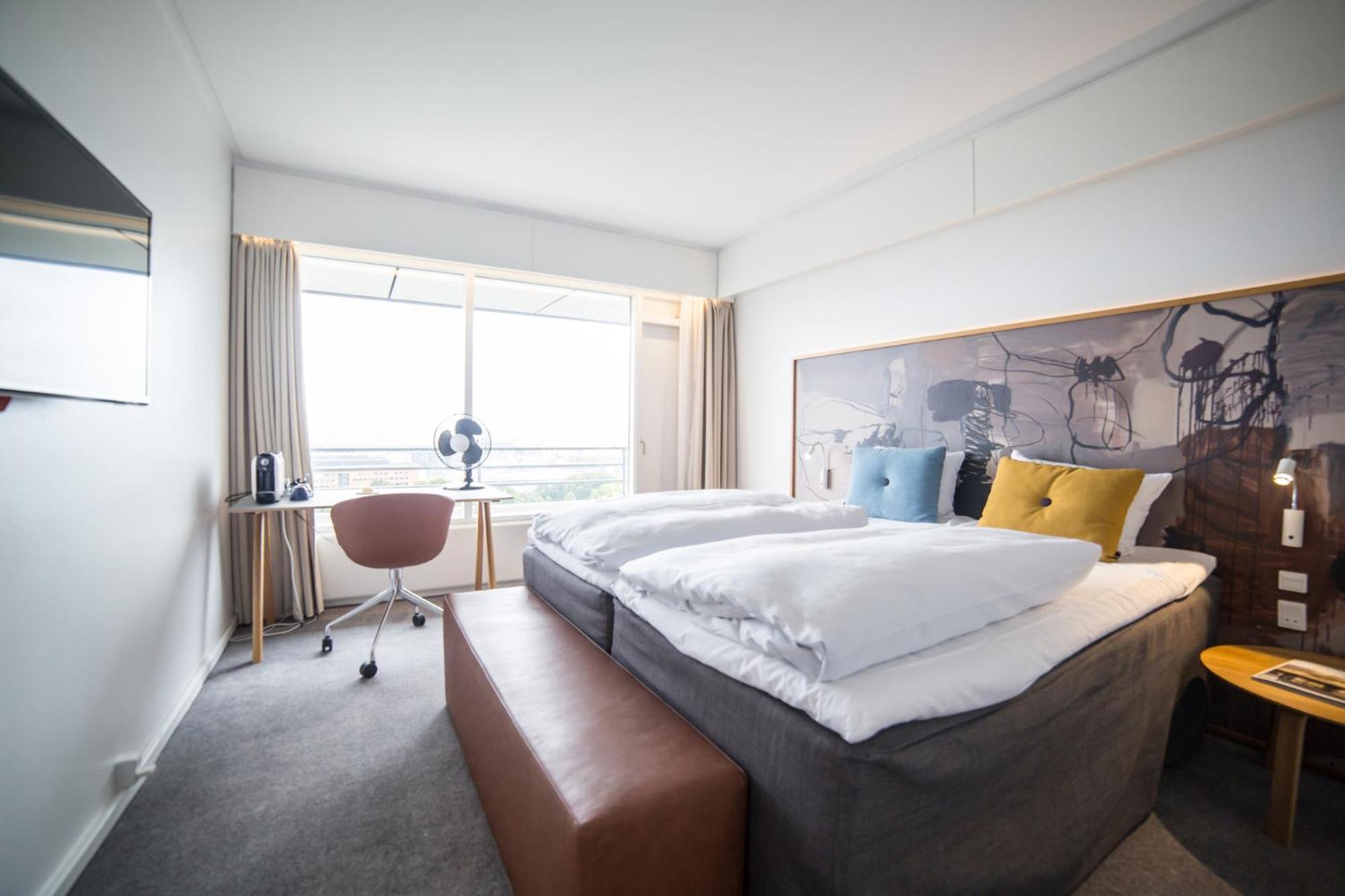 Suite - Photo 5