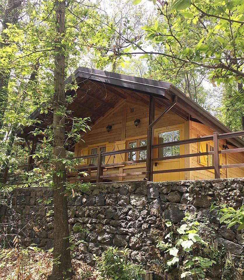 One-Bedroom House photo 3