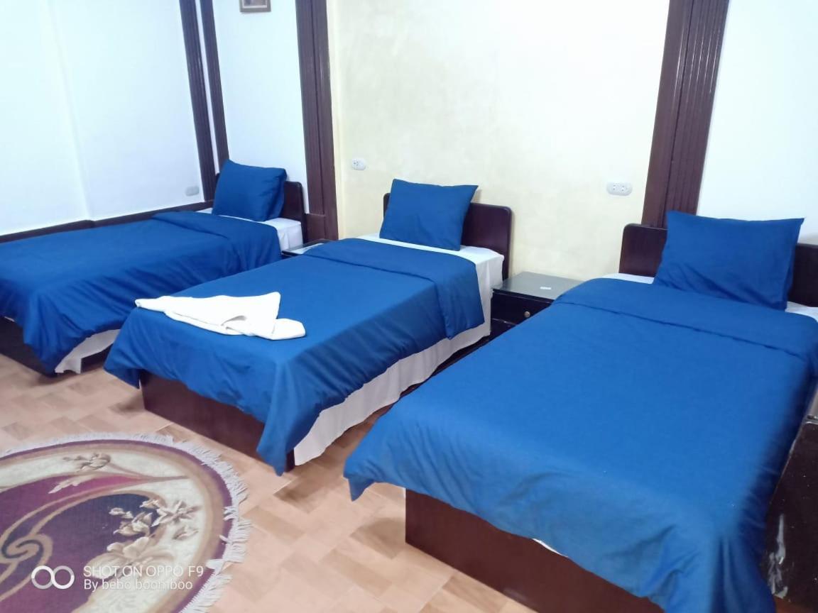 Single Bed in Female Dormitory Room photo 1