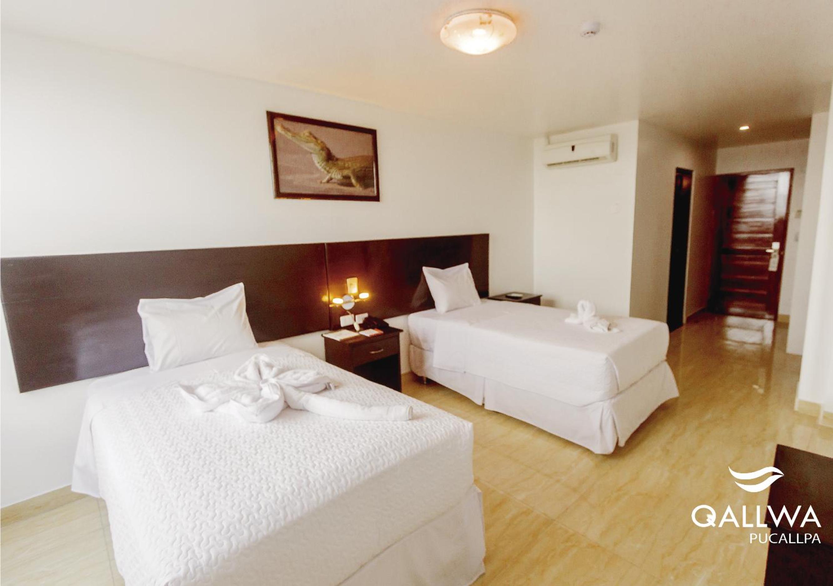 Twin Room photo 2