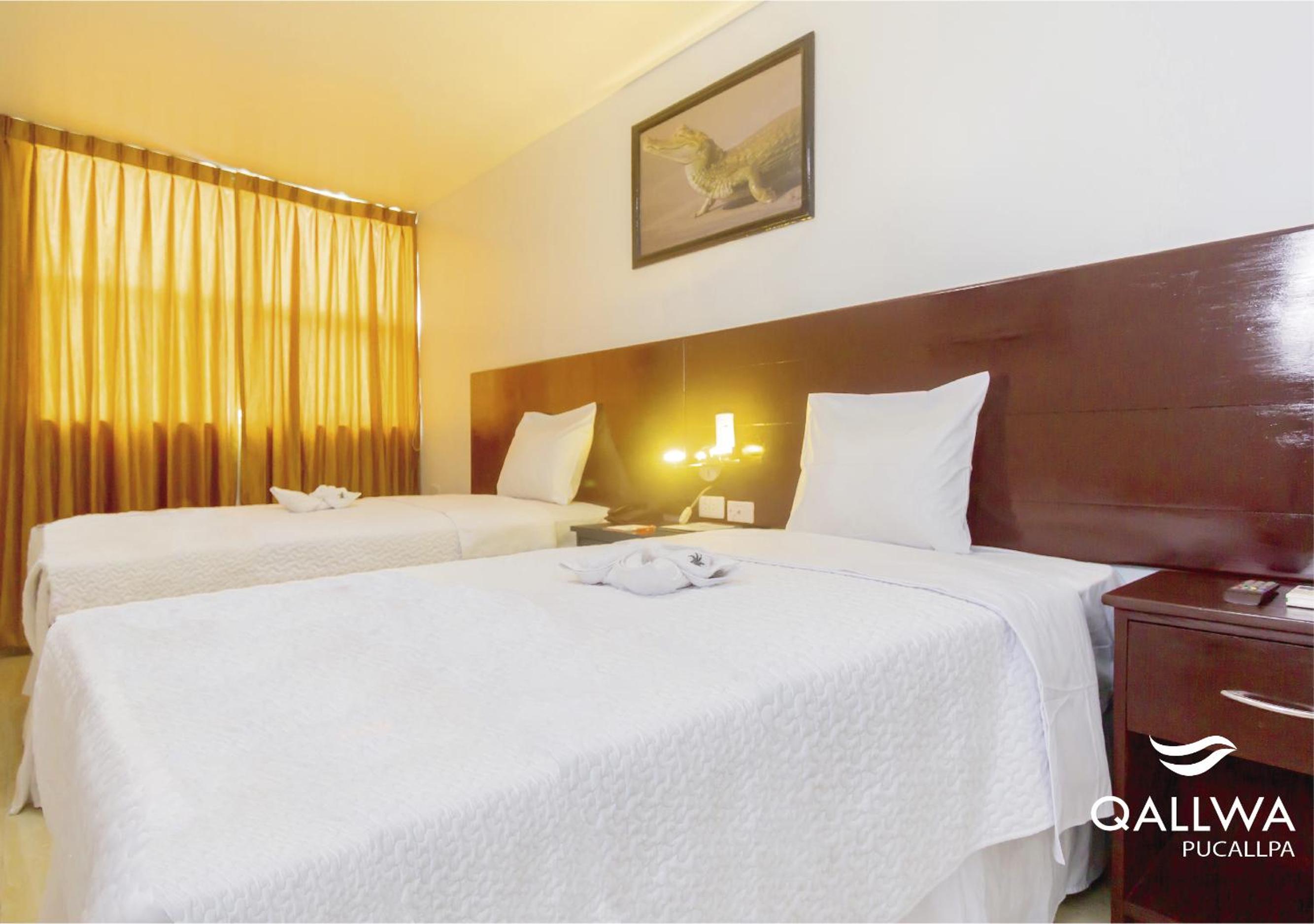 Twin Room photo 3