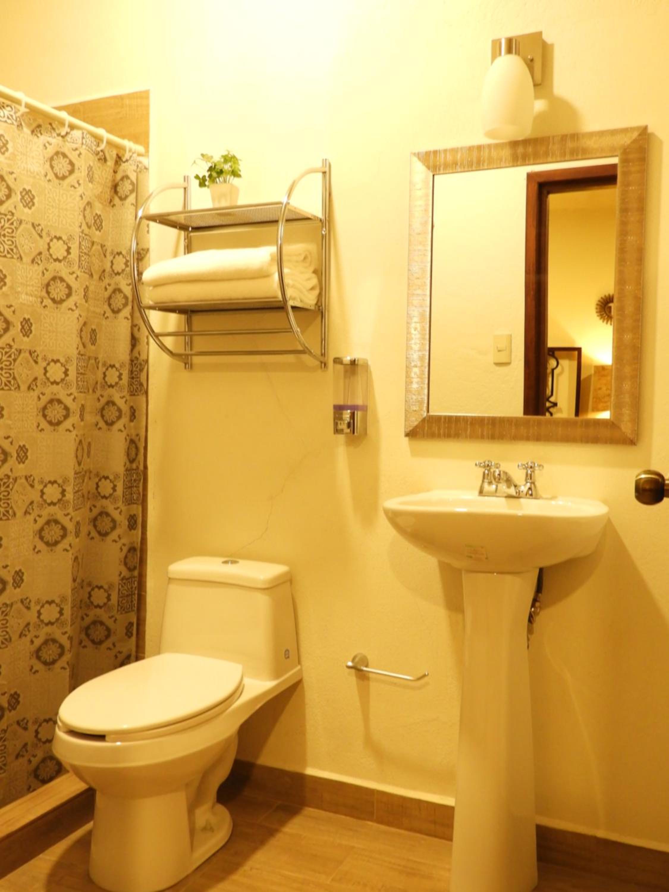 Apartment with Terrace photo 3