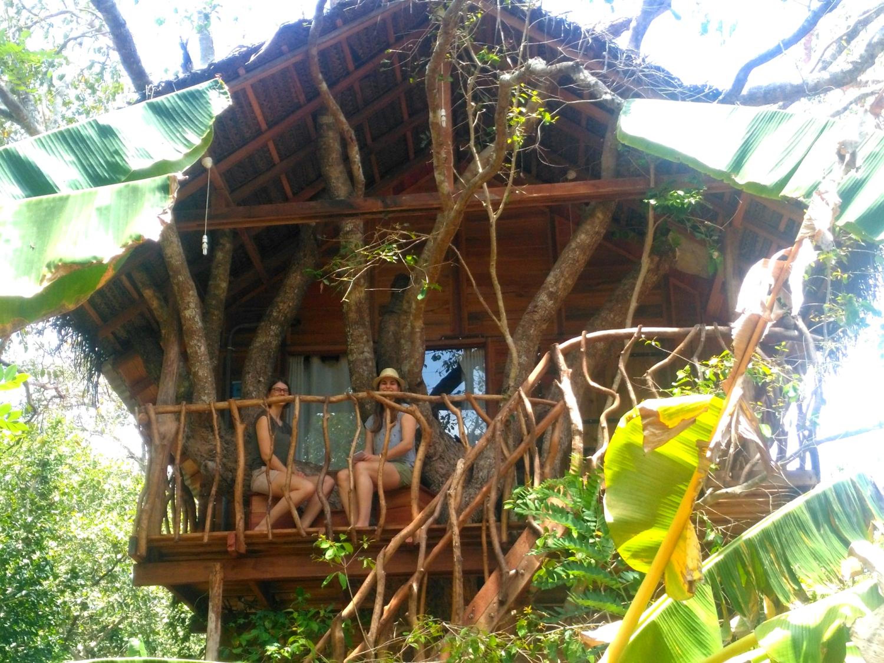 Inn on the Tree House  photo 2