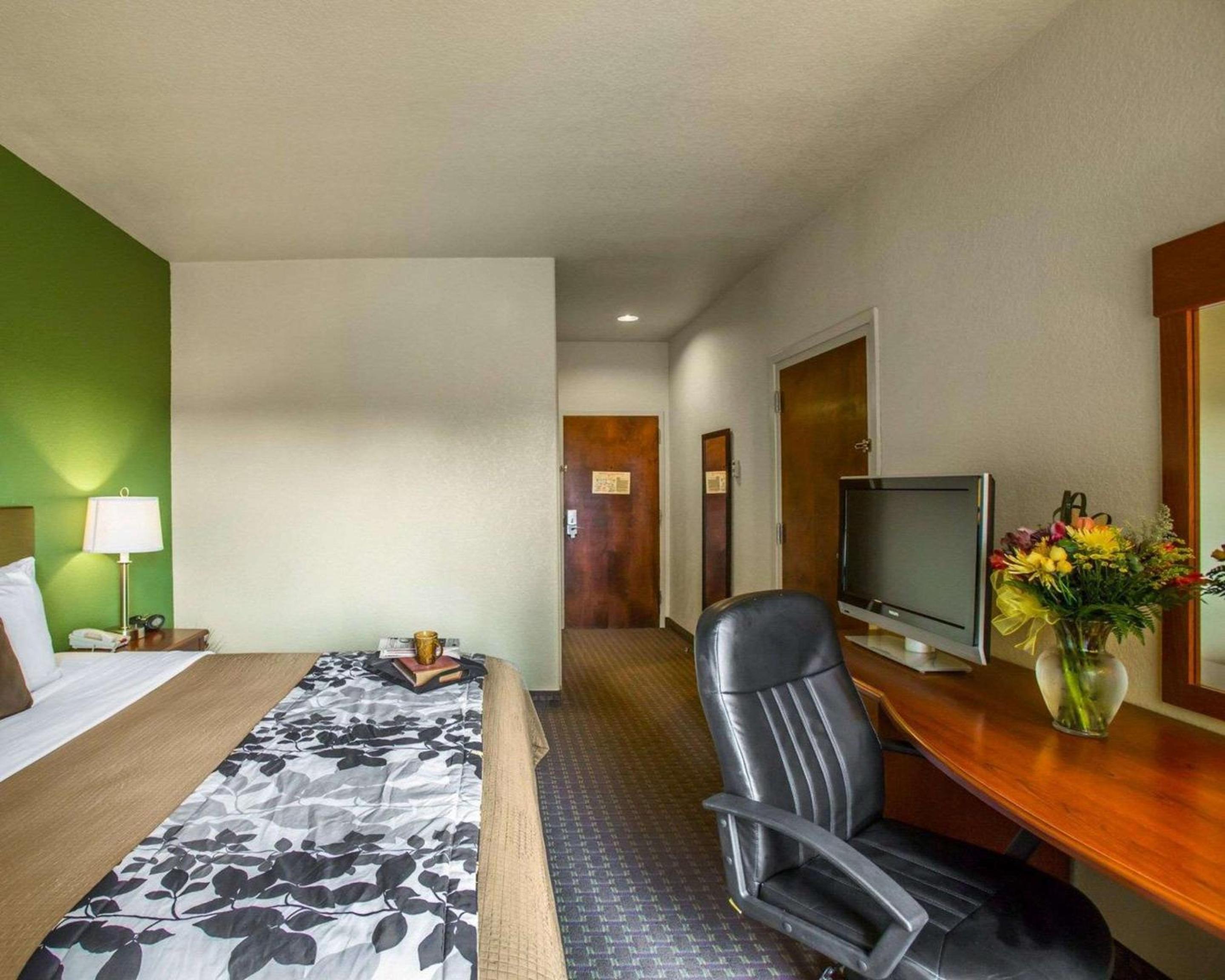 King Room - Non-Smoking - Photo 2