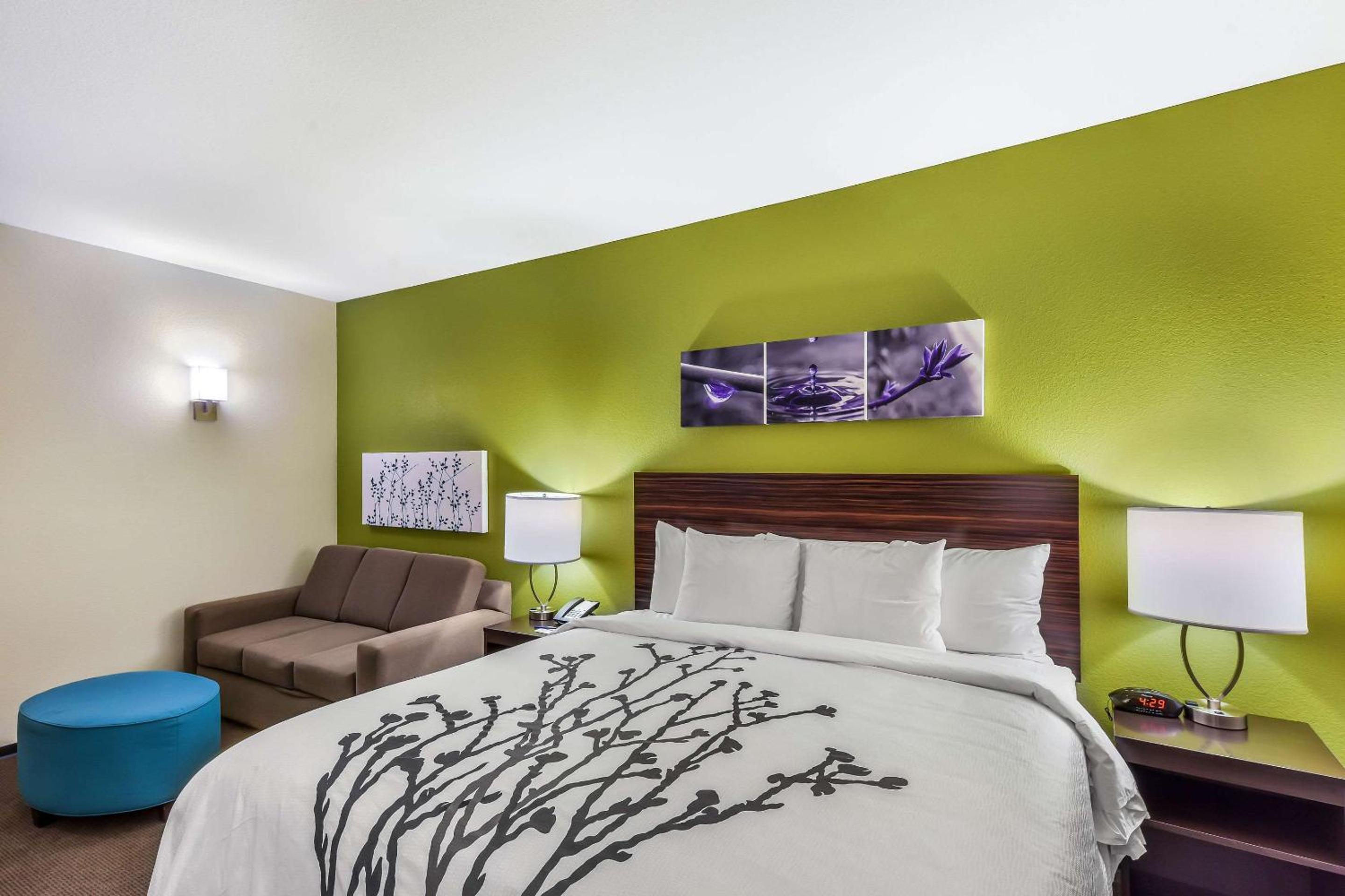 King Suite with Sofa Bed - Non-Smoking - Photo 1