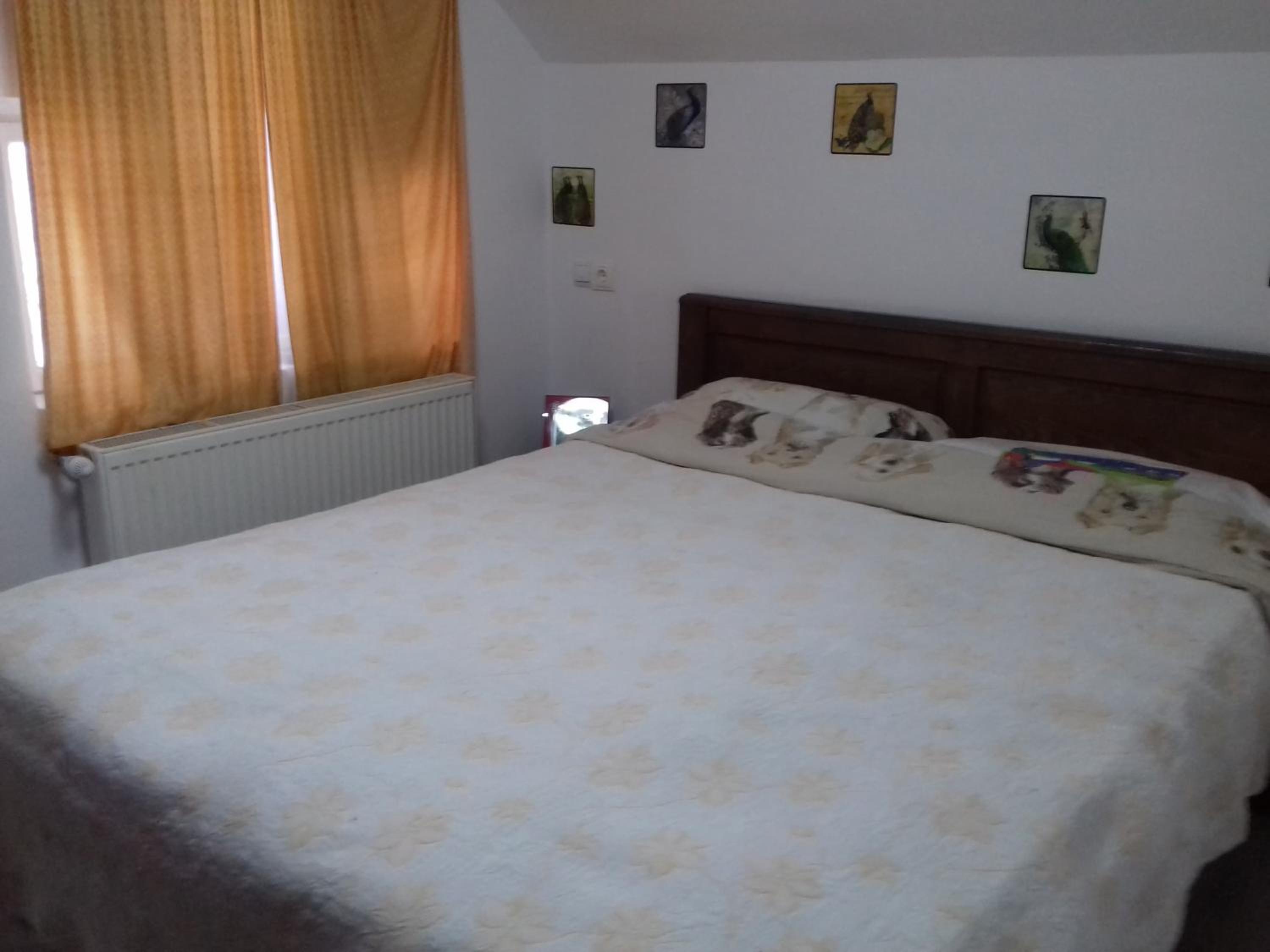 Double Or Twin Room photo 2