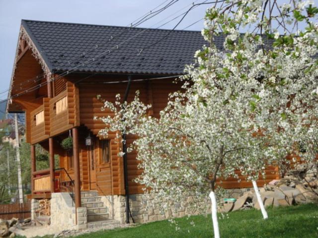 Three-Bedroom Chalet photo 3